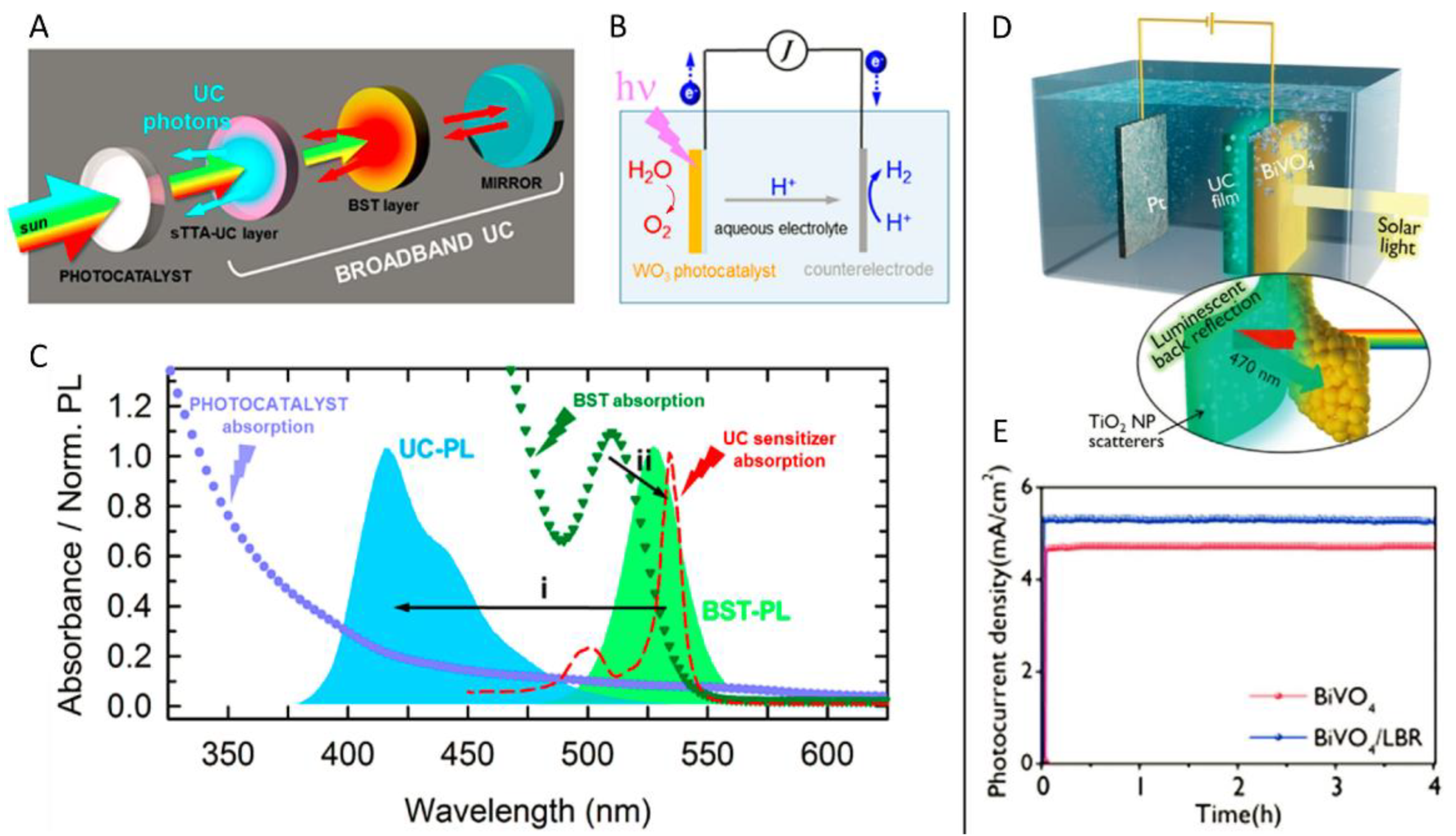Ijms 23 08041 g012 550