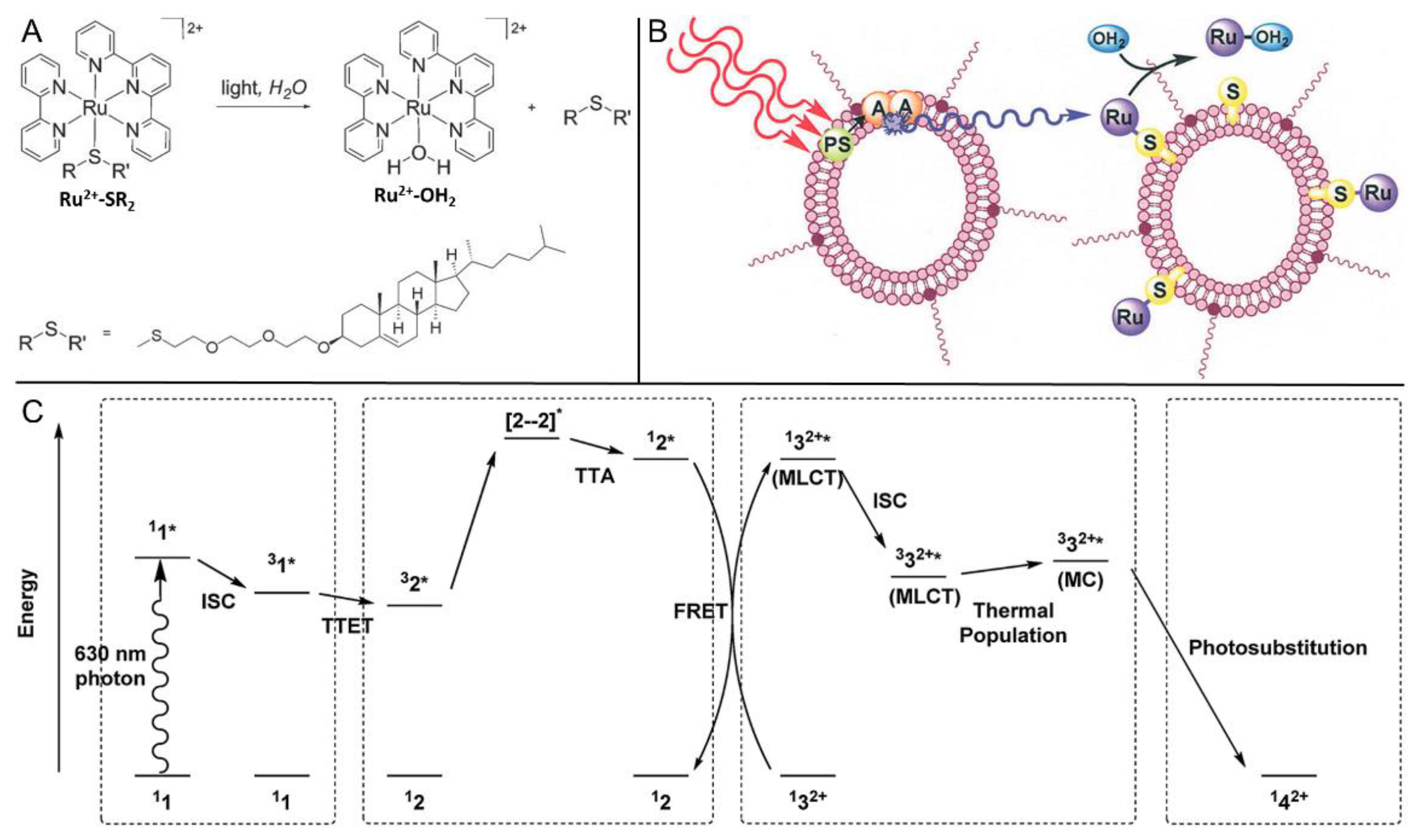 Ijms 23 08041 g013 550