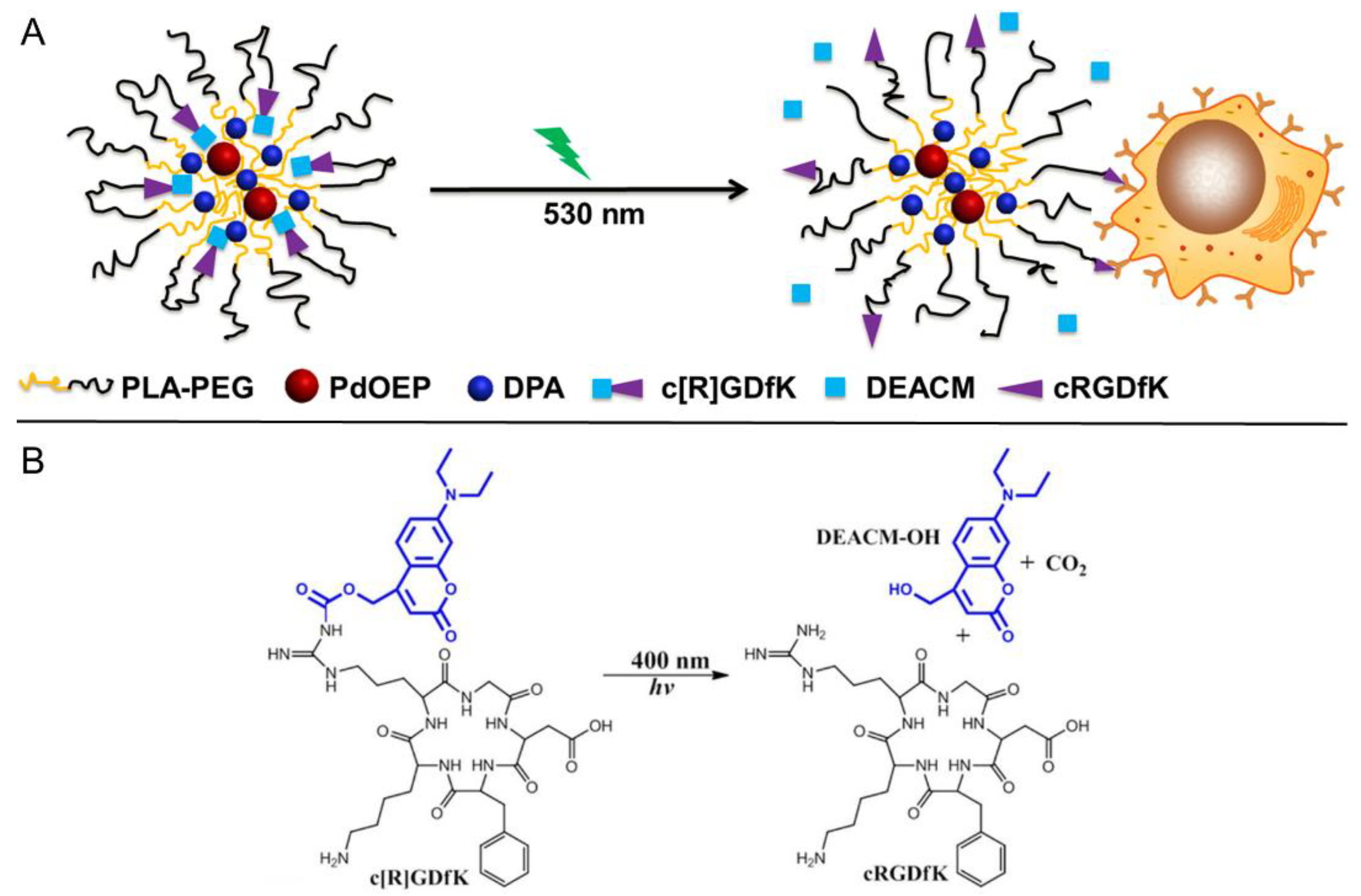 Ijms 23 08041 g014 550