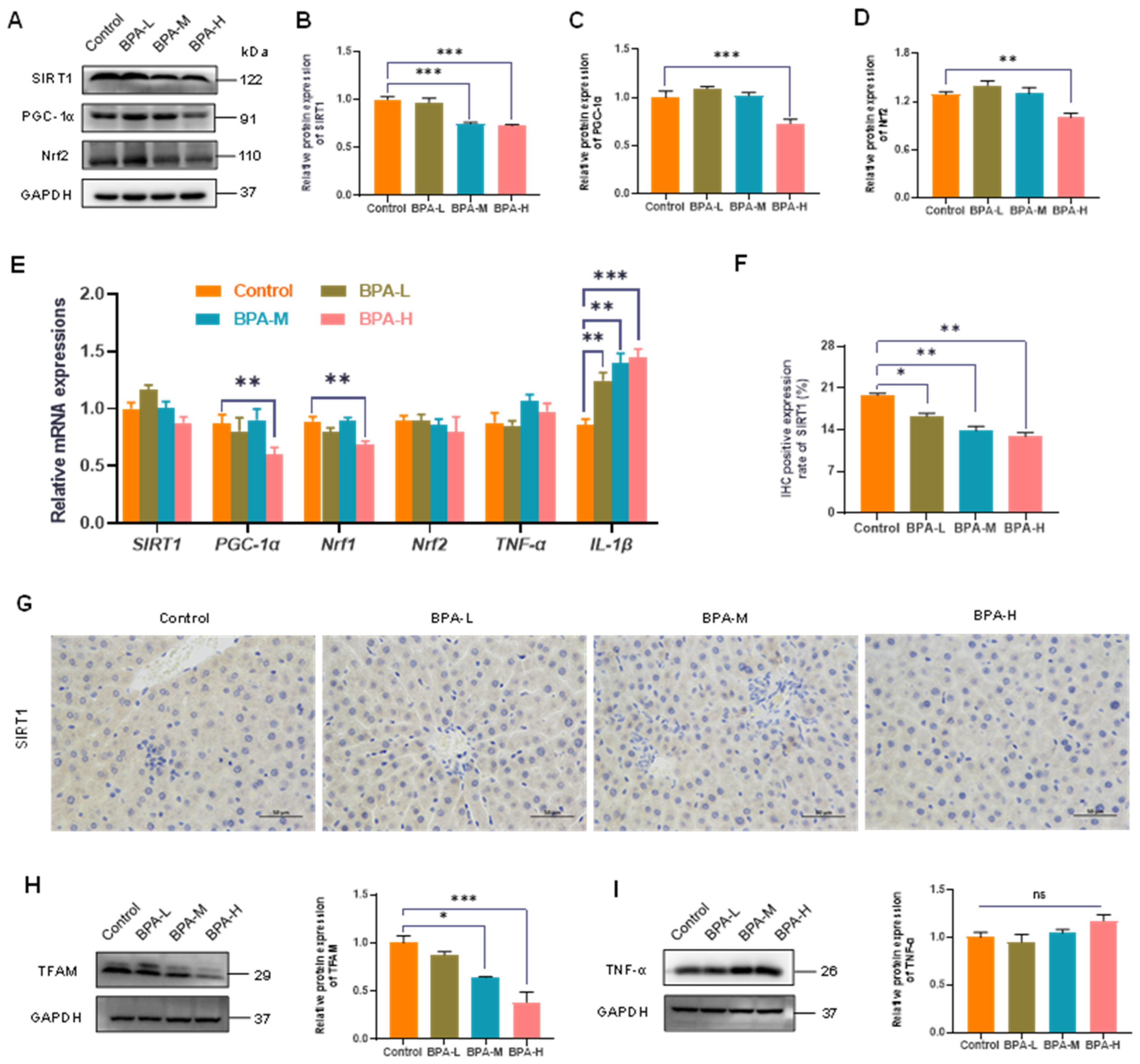 Ijms 23 08042 g003 550