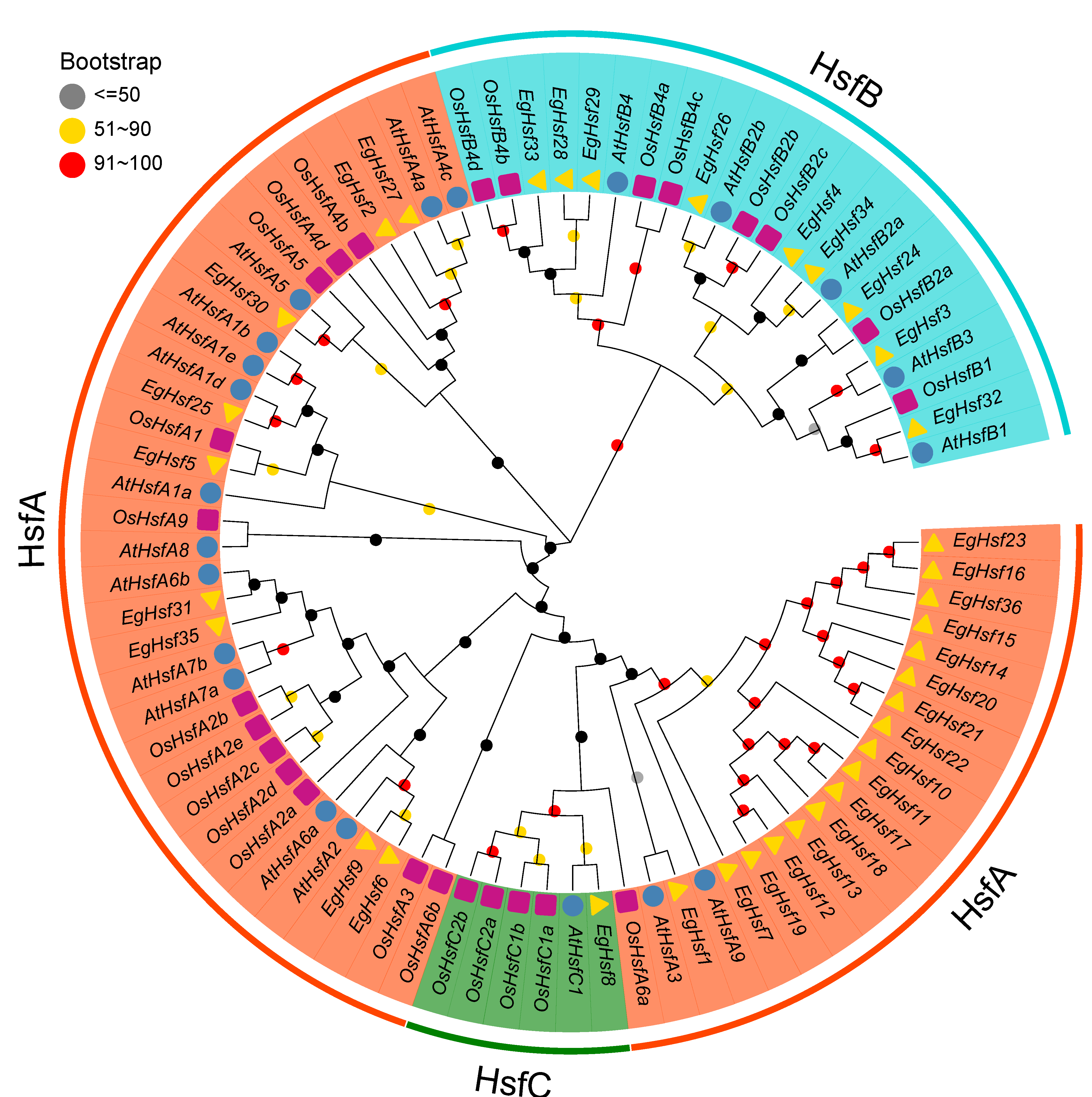Ijms 23 08044 g001 Ijms 23 08044 g001