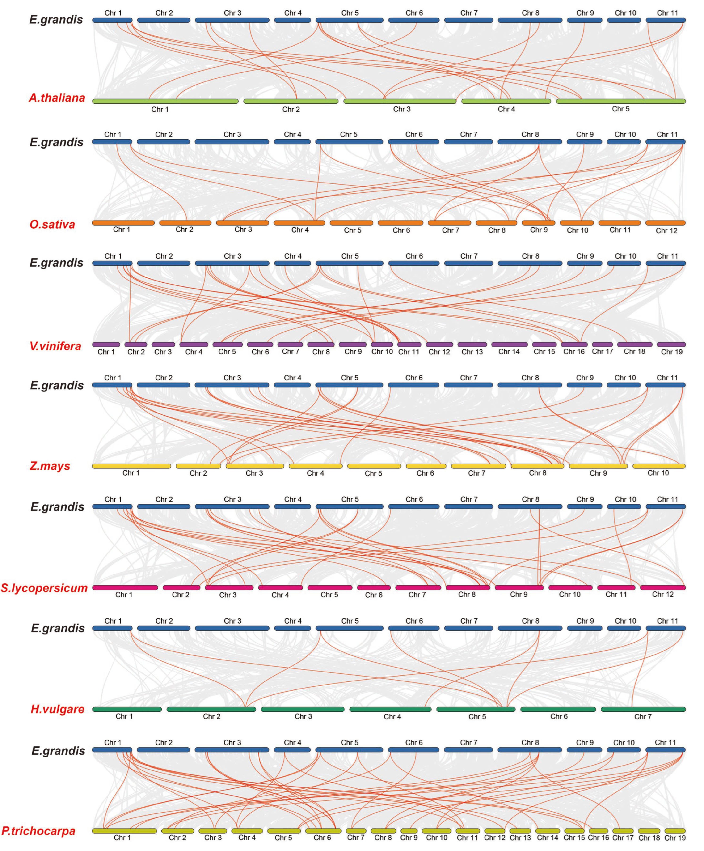 Ijms 23 08044 g003 Ijms 23 08044 g003