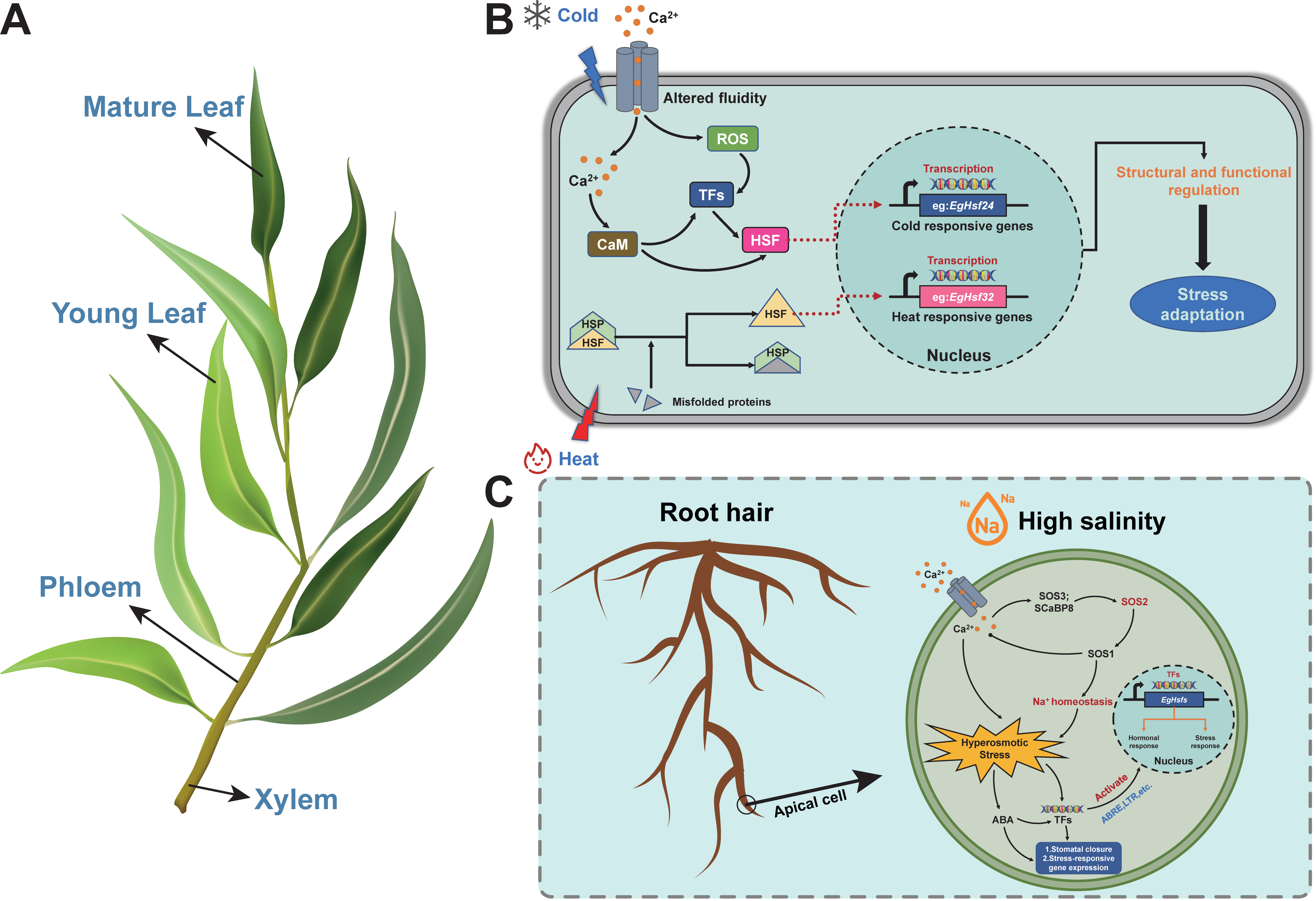 Ijms 23 08044 g009 Ijms 23 08044 g009