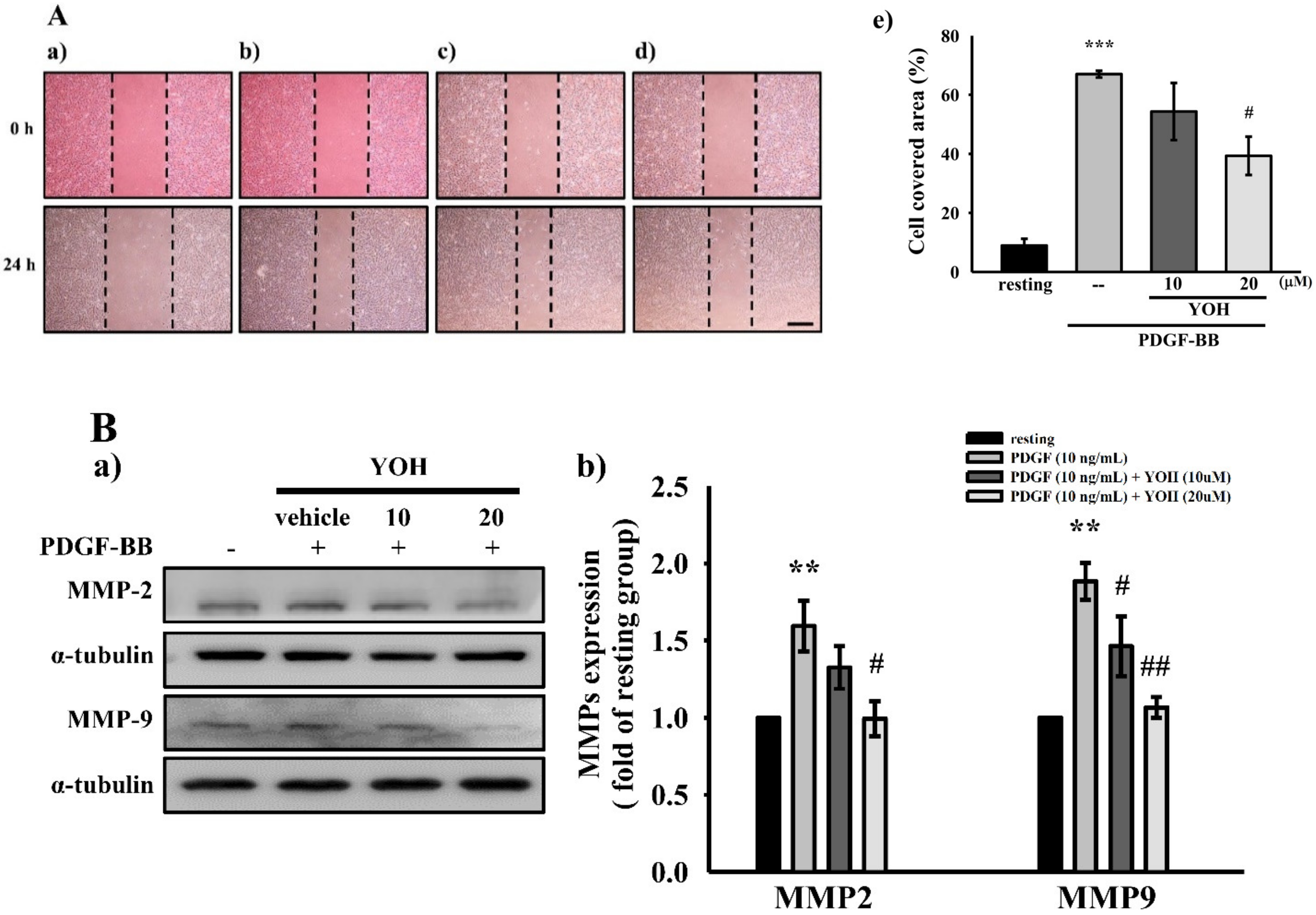 Ijms 23 08049 g002 Ijms 23 08049 g002