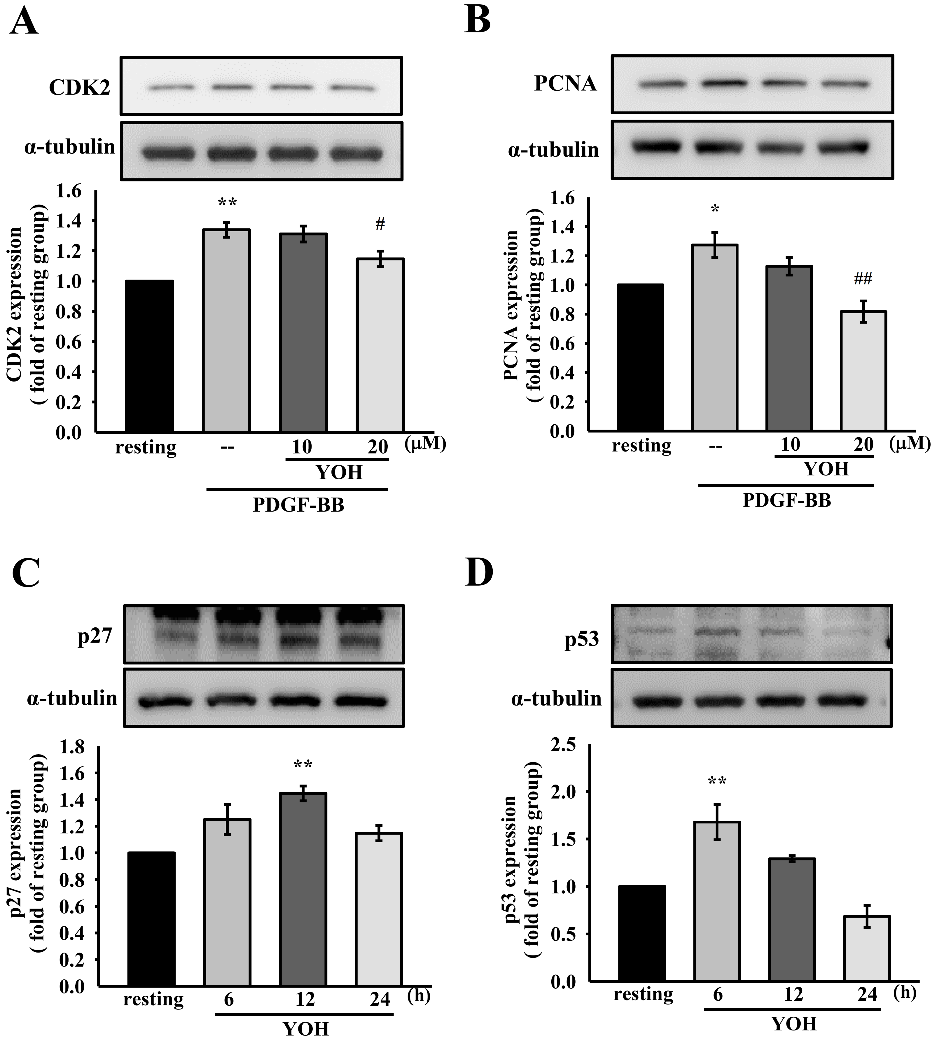 Ijms 23 08049 g003 Ijms 23 08049 g003