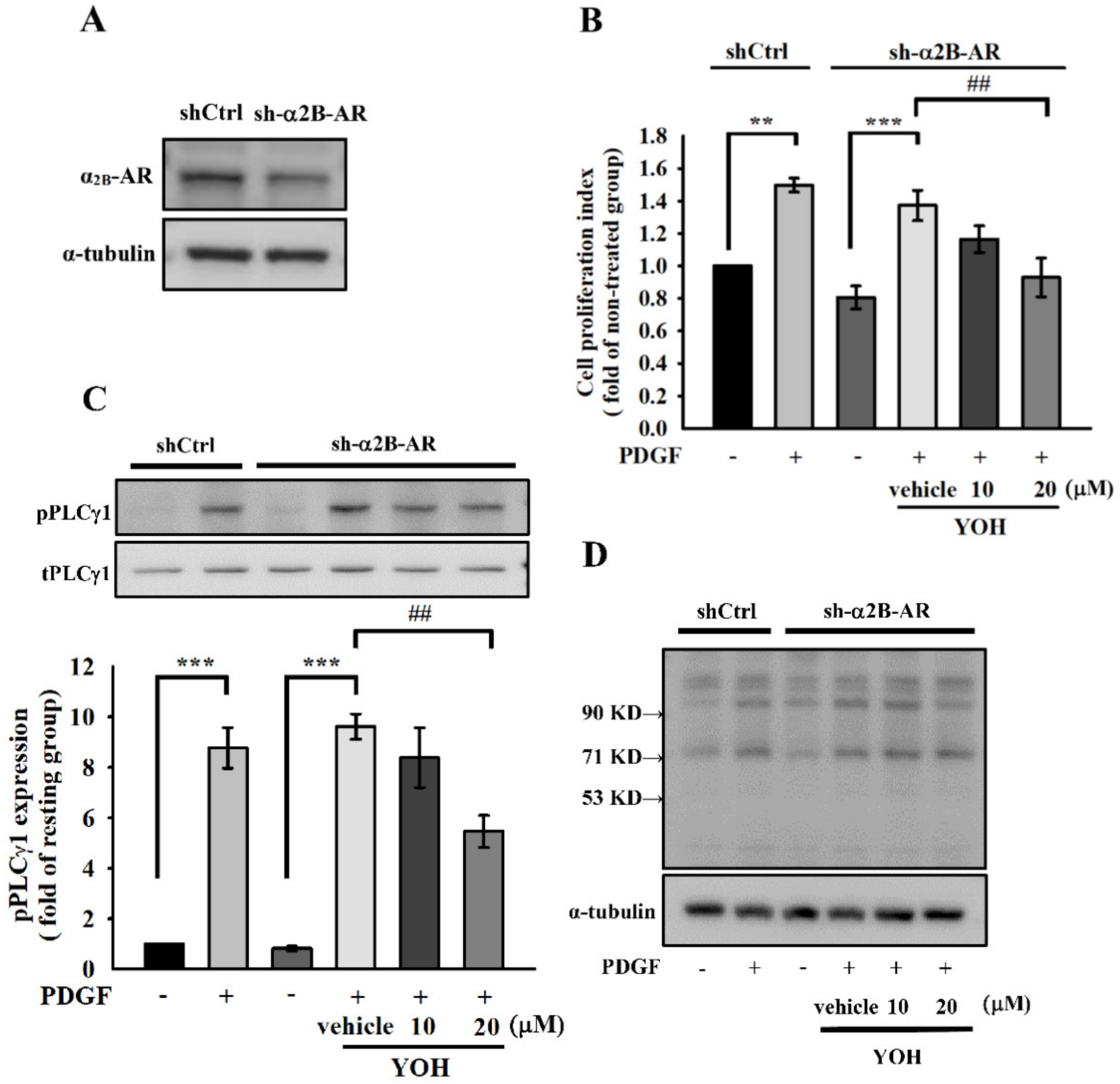 Ijms 23 08049 g005 Ijms 23 08049 g005
