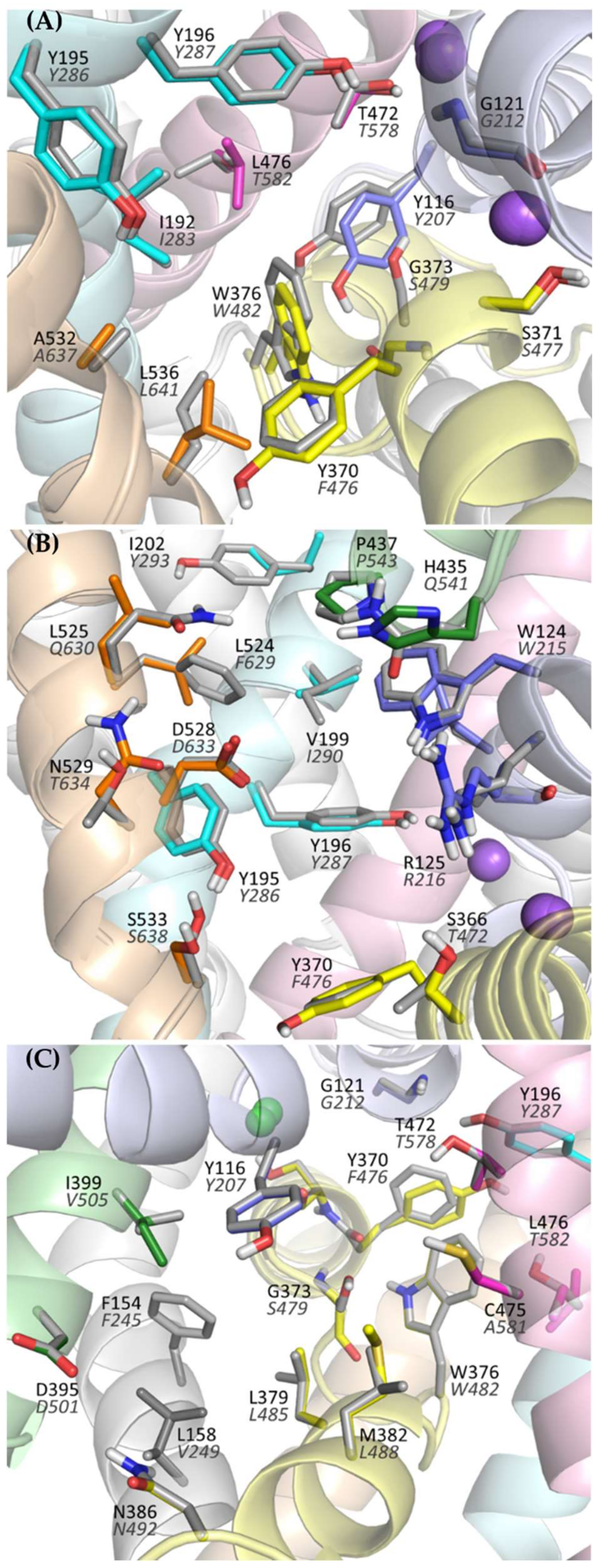 Ijms 23 08050 g004 550