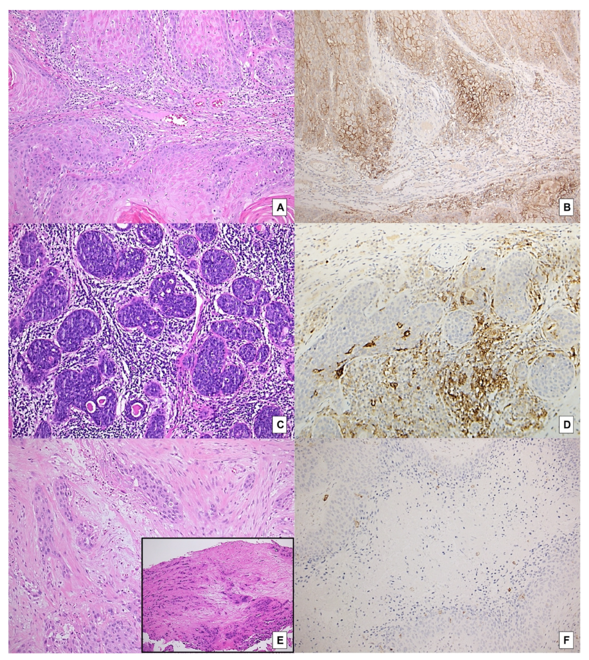 Ijms 23 08053 g002 550