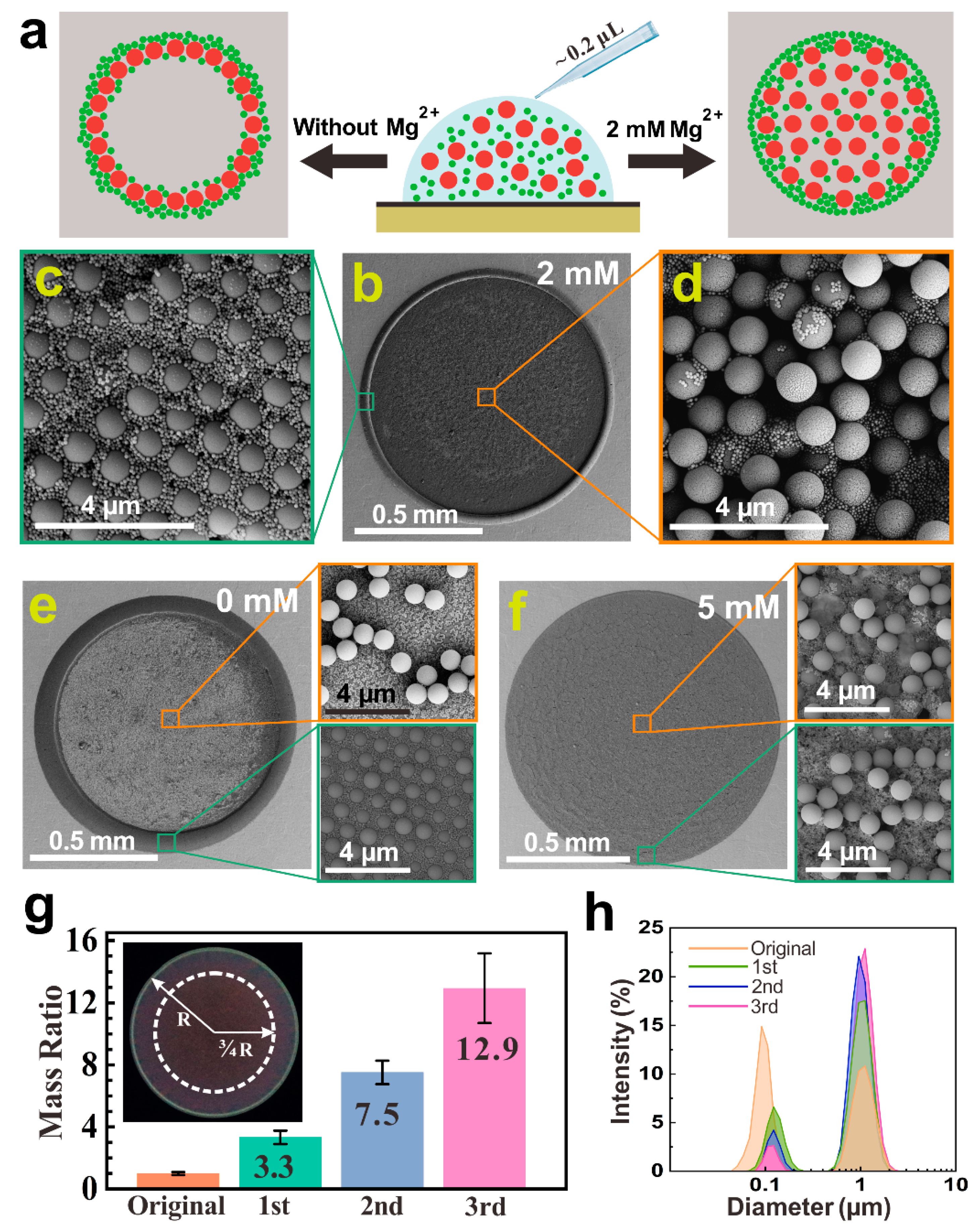 Ijms 23 08055 g001 550