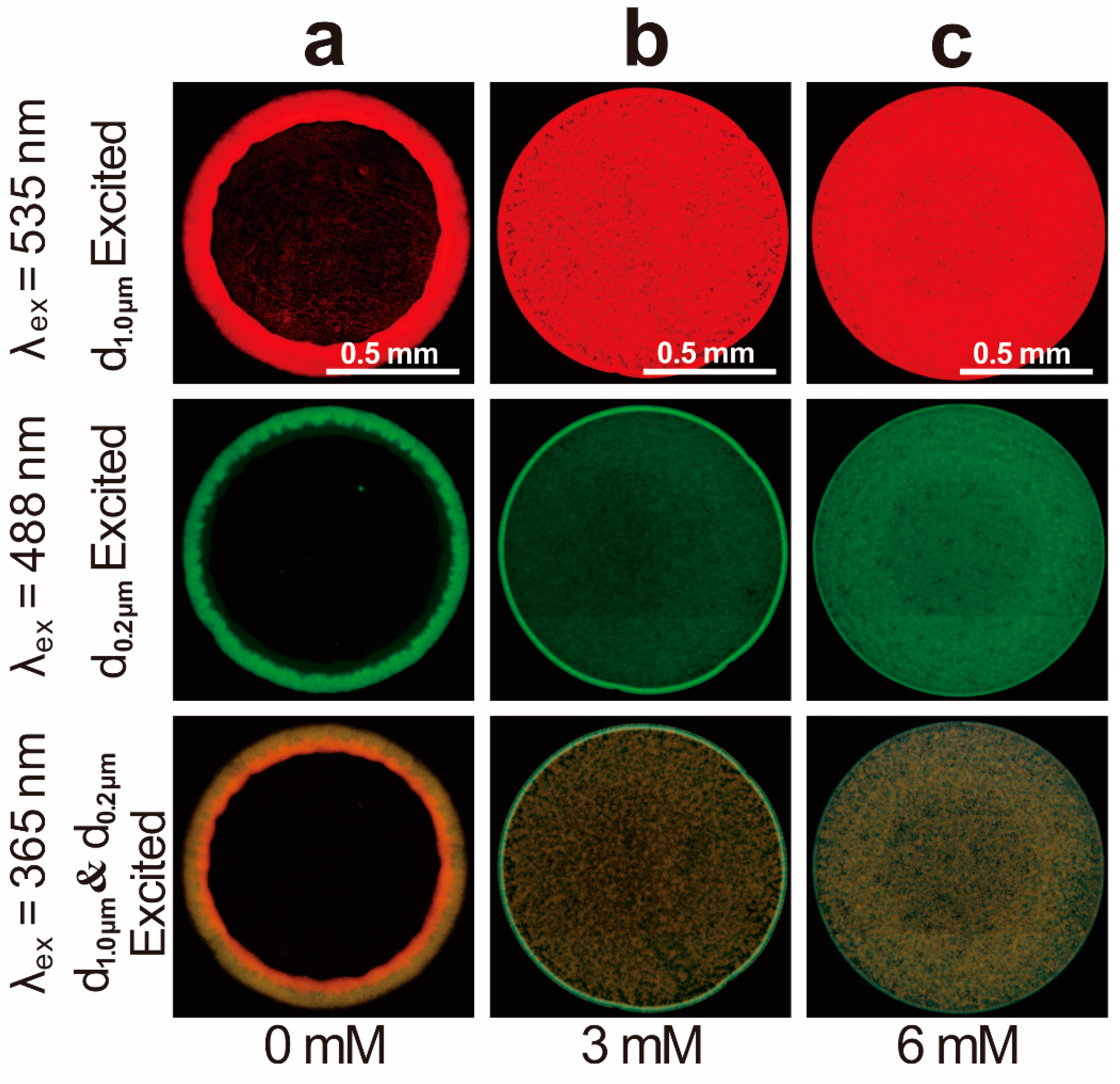 Ijms 23 08055 g002 550