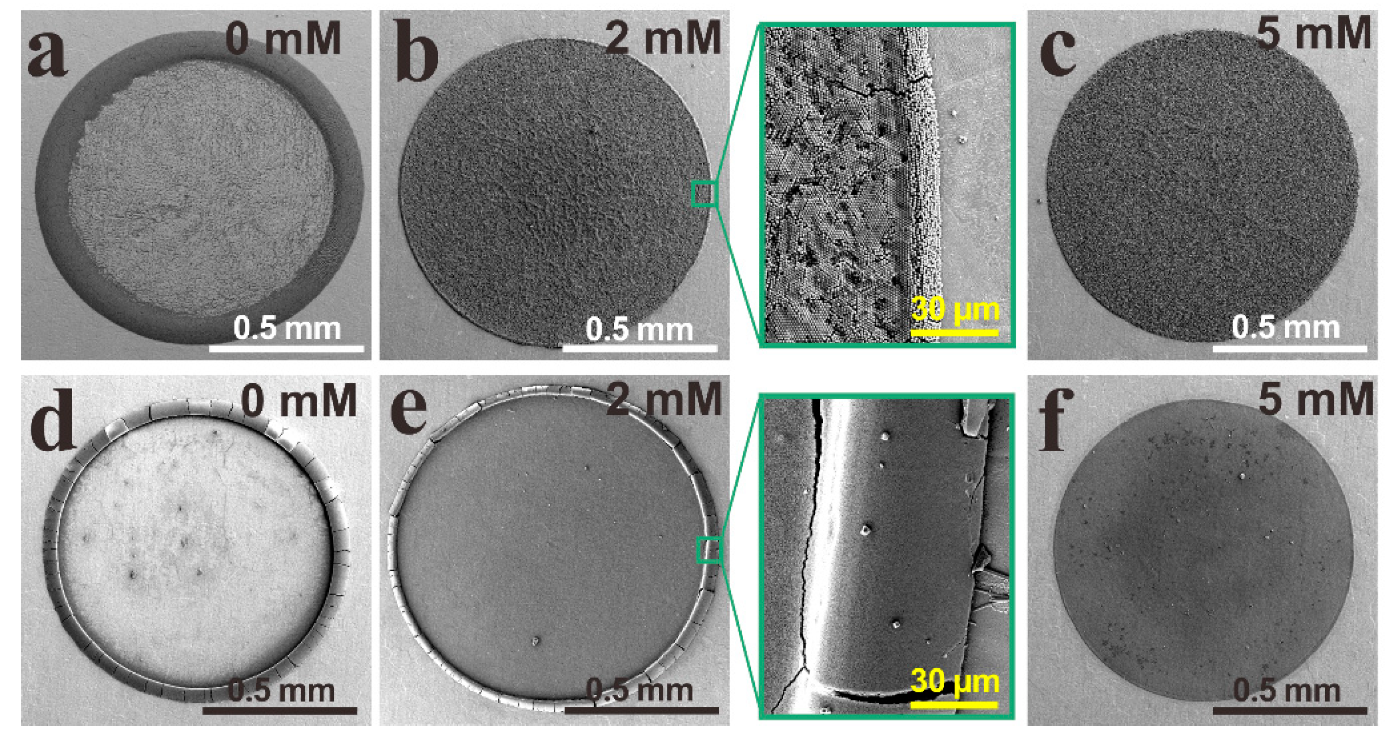 Ijms 23 08055 g005 550