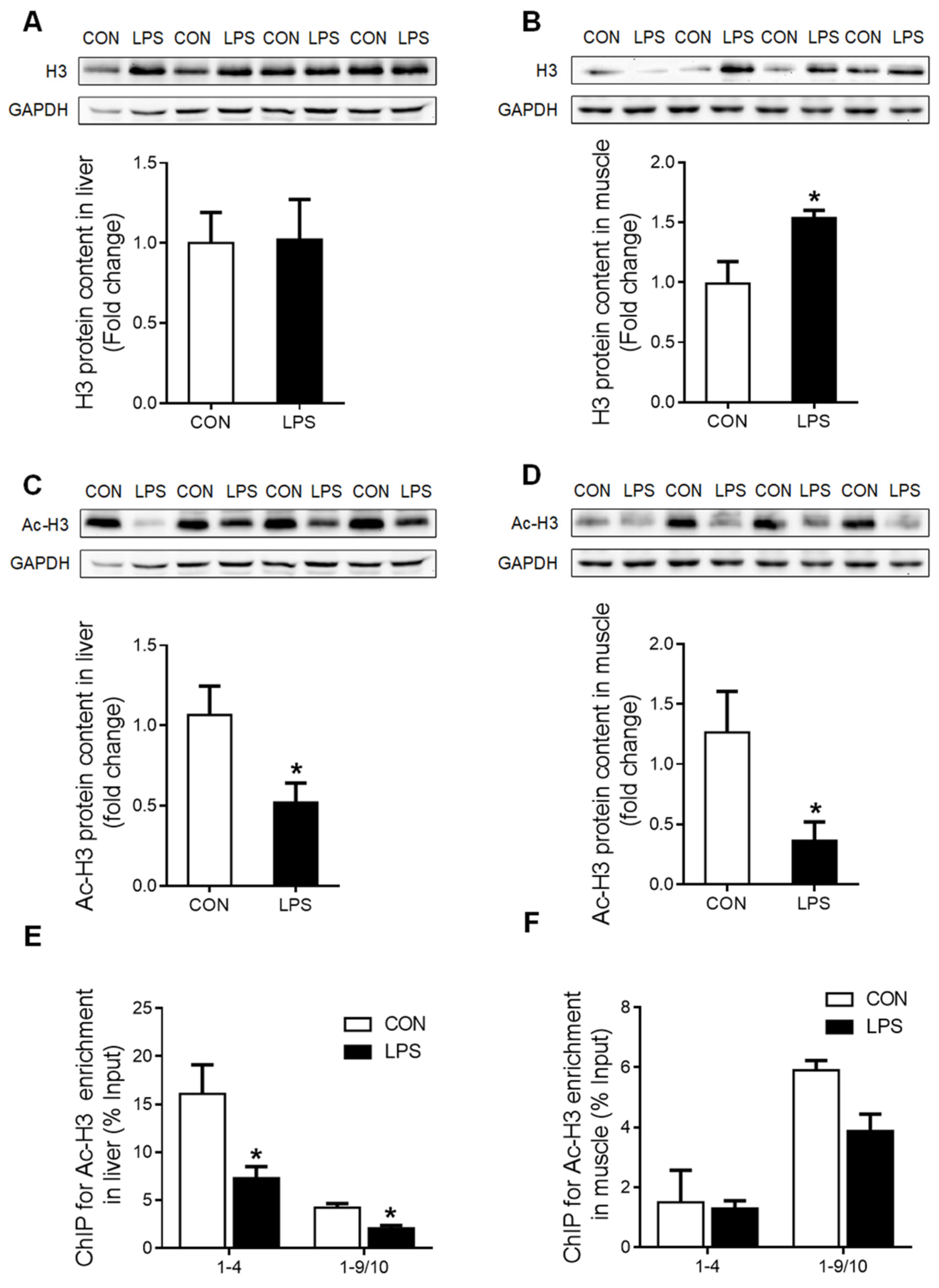 Ijms 23 08072 g005 Ijms 23 08072 g005