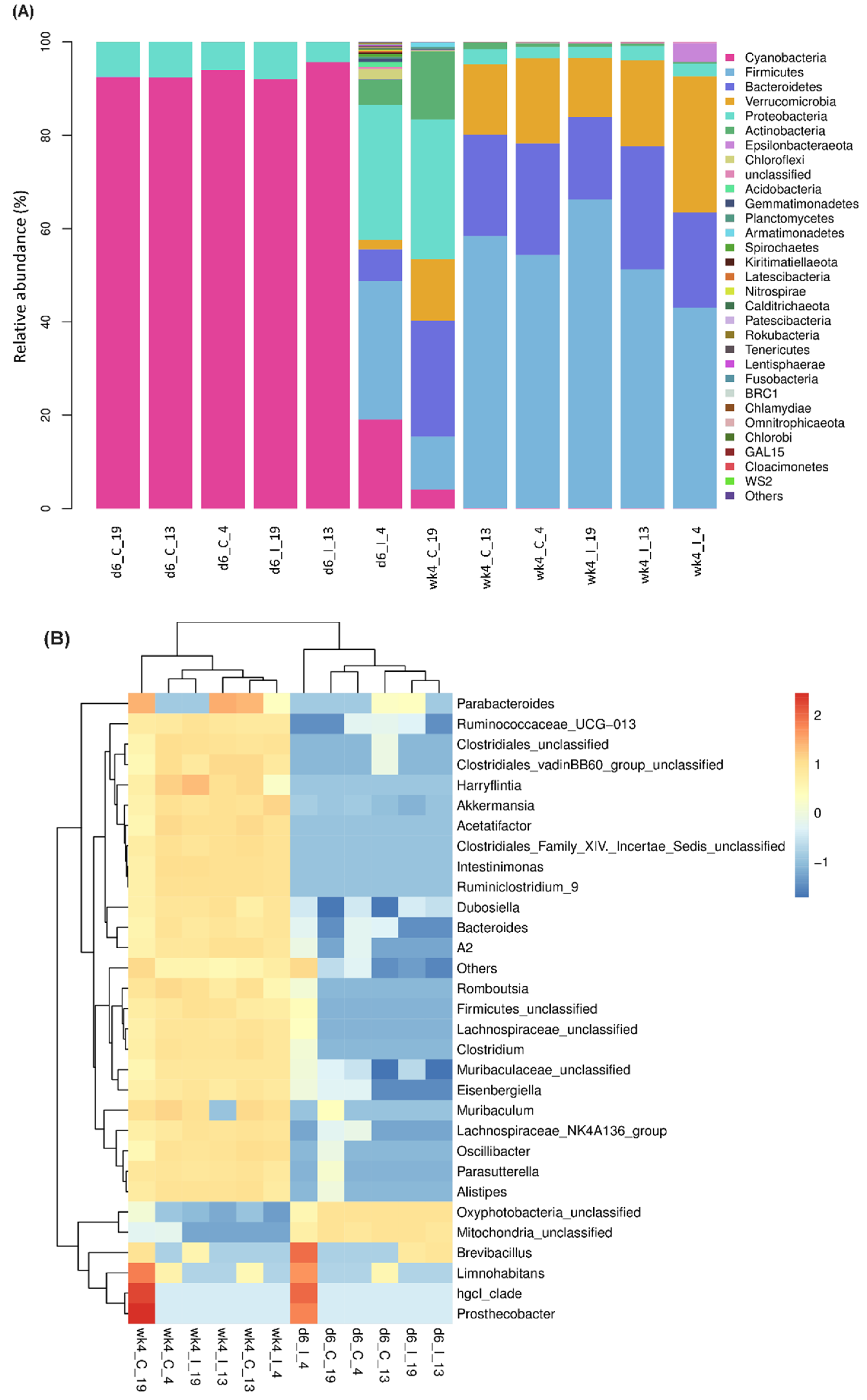 Ijms 23 08073 g001 550