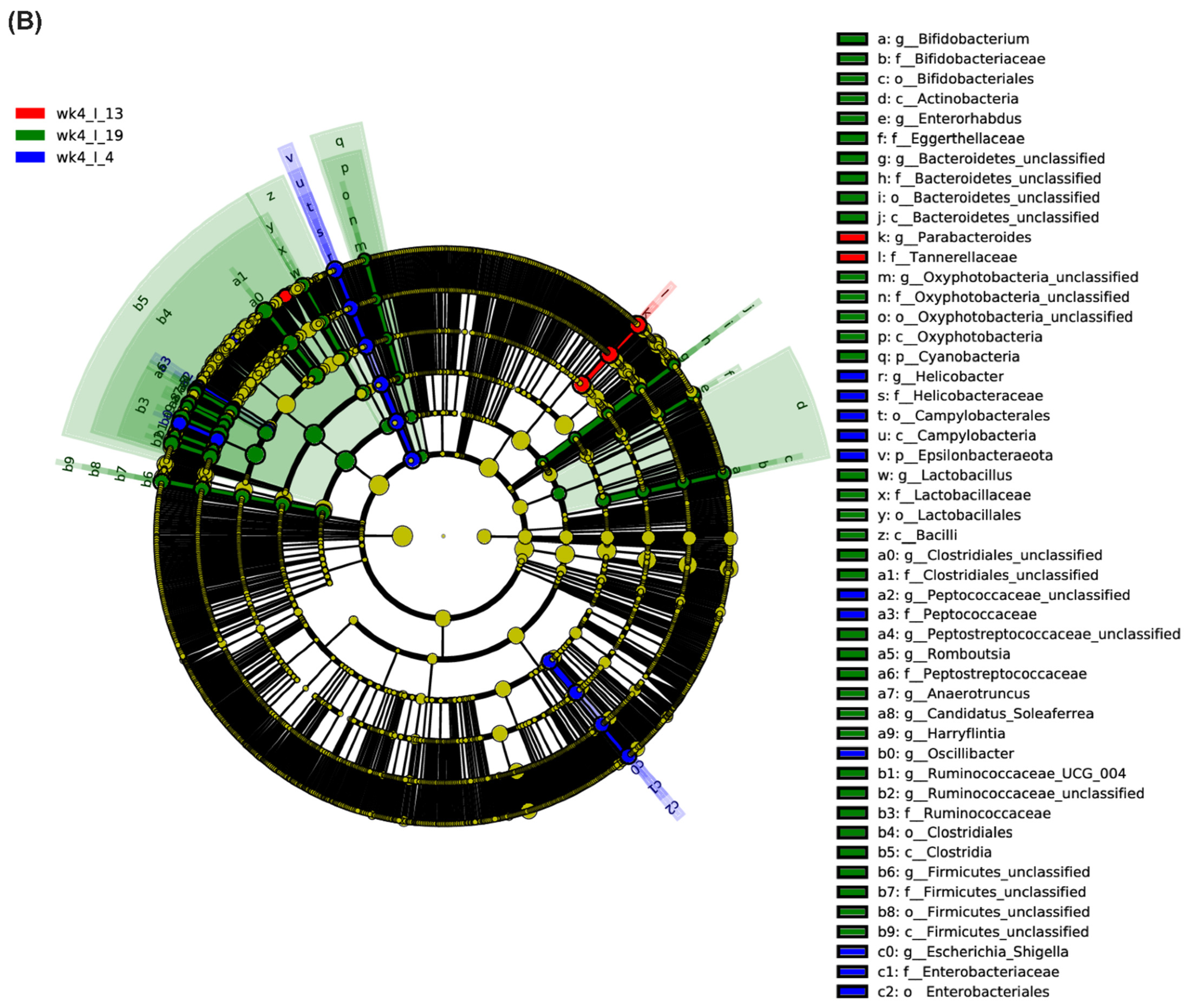 Ijms 23 08073 g005b 550