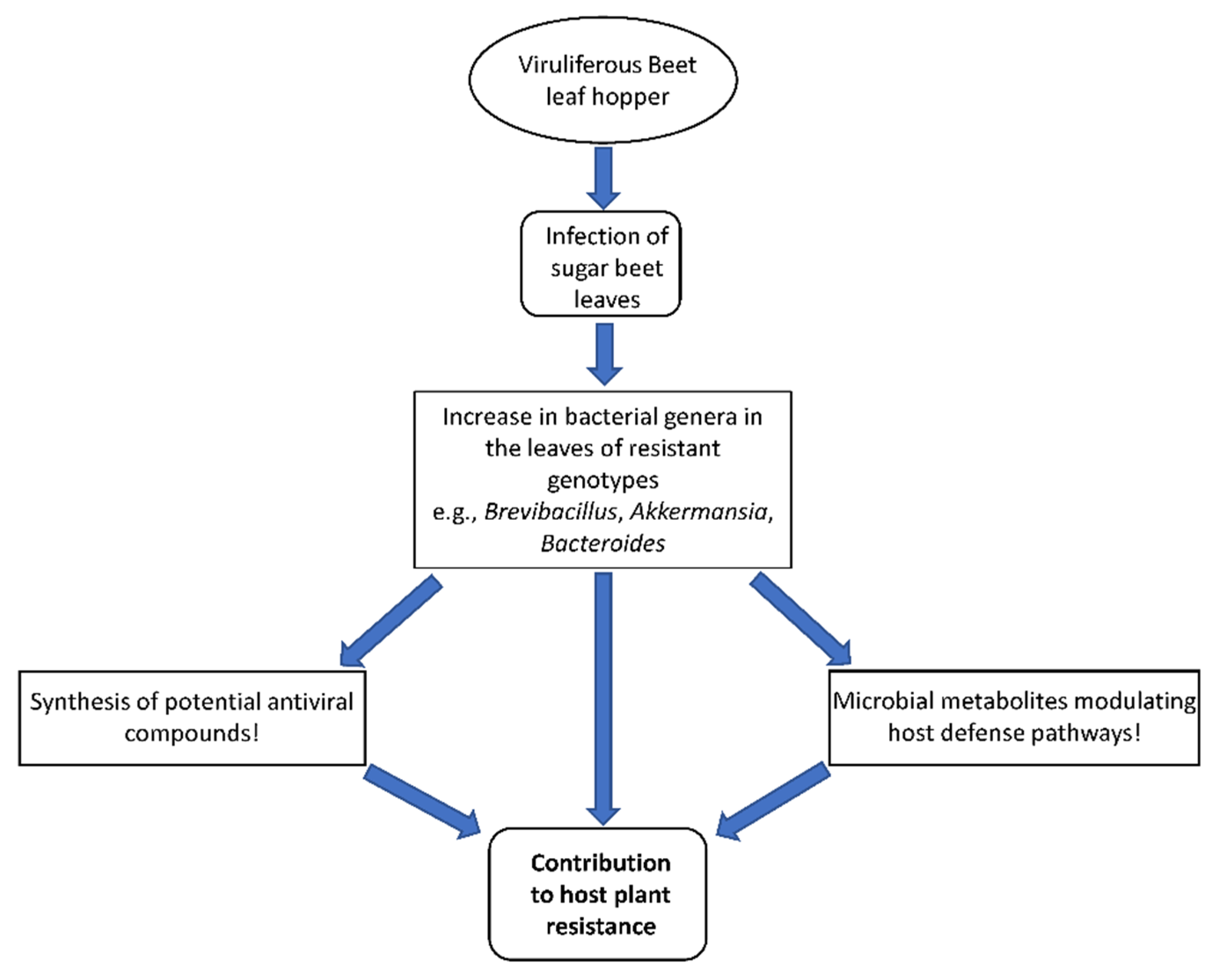 Ijms 23 08073 g010 550