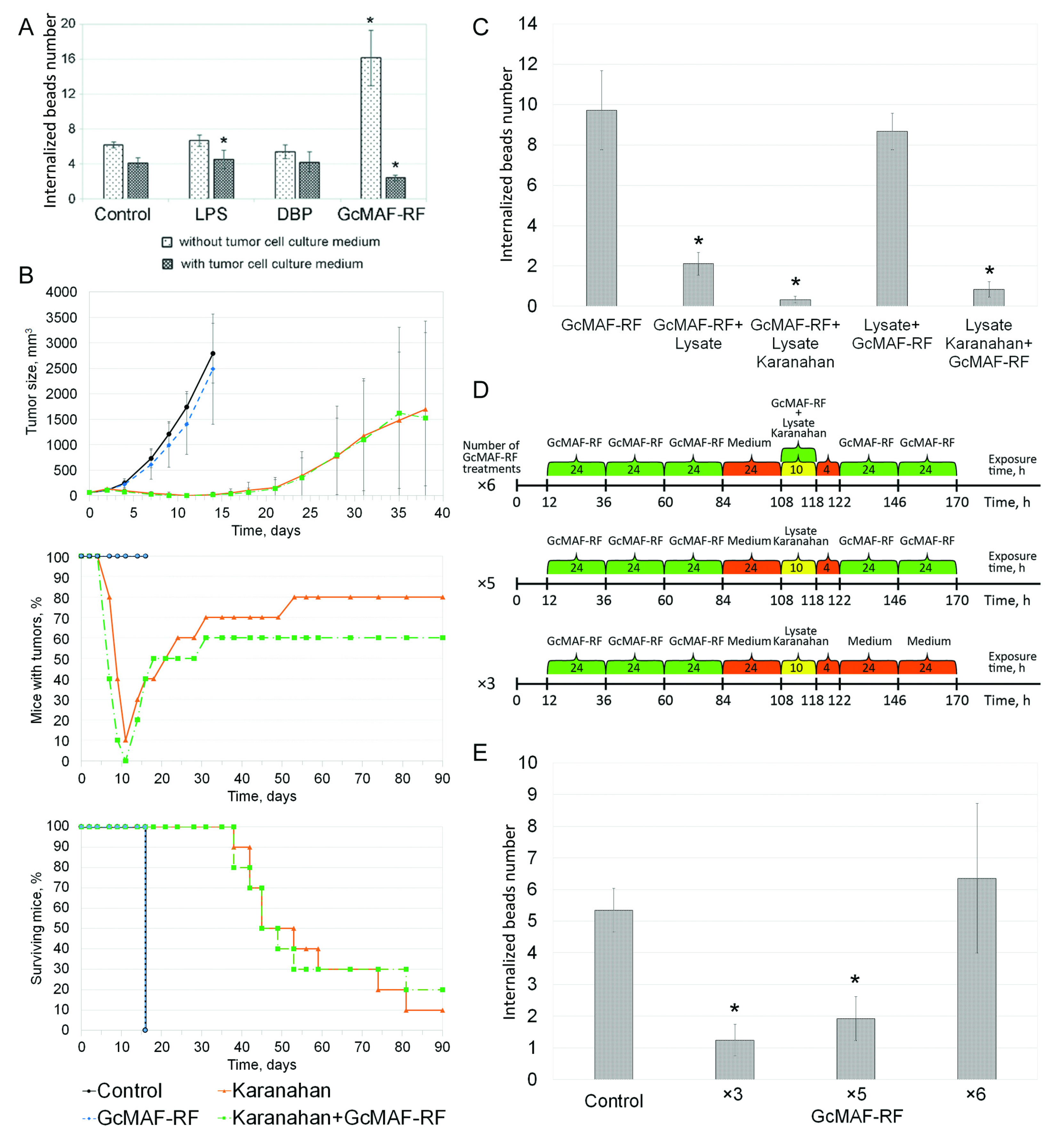 Ijms 23 08075 g005 Ijms 23 08075 g005