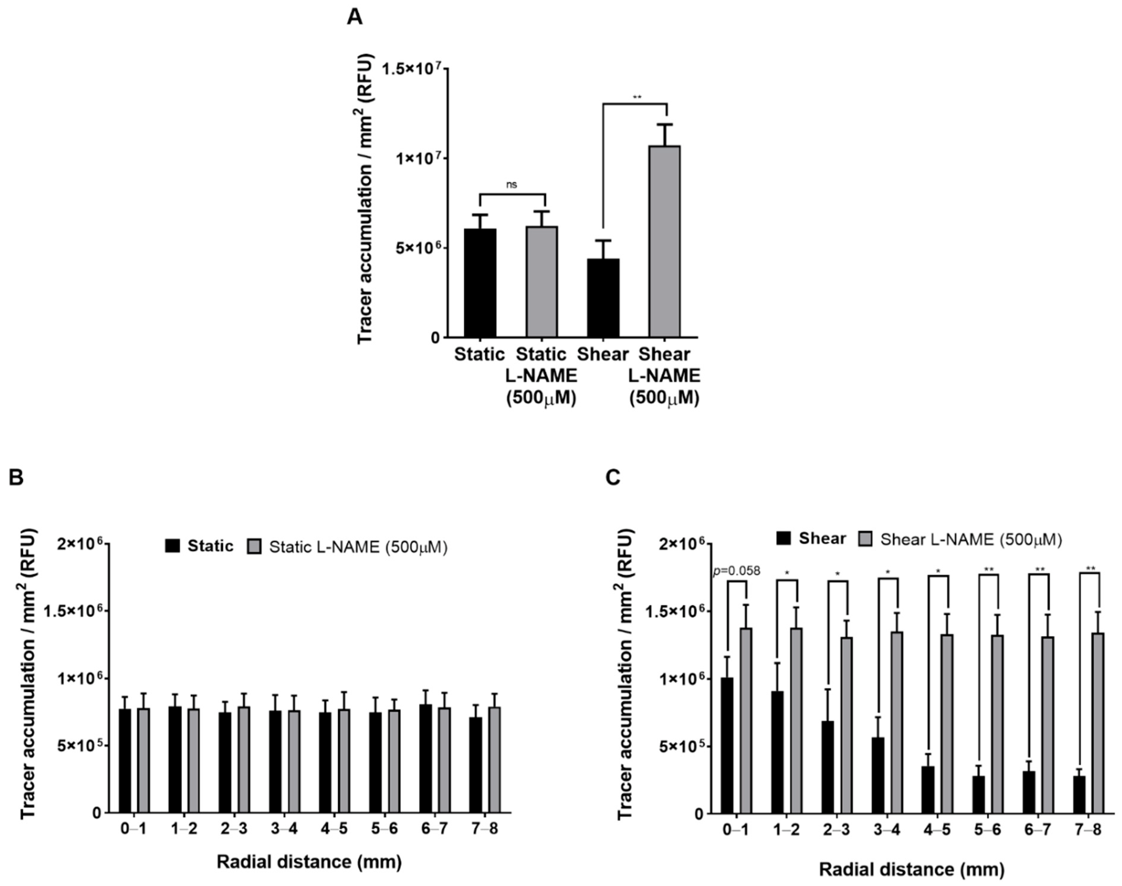 Ijms 23 08076 g007 Ijms 23 08076 g007
