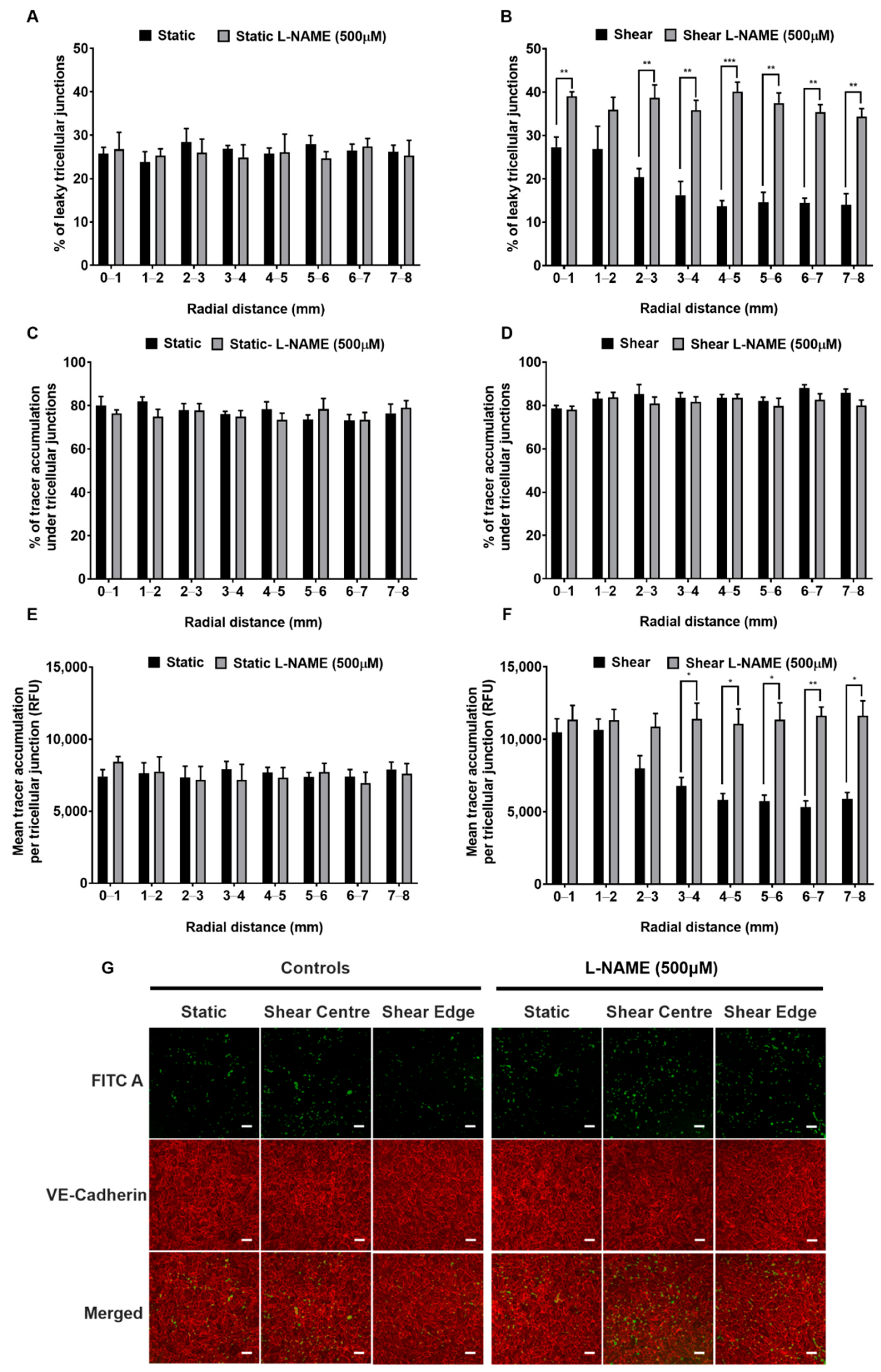 Ijms 23 08076 g008 Ijms 23 08076 g008