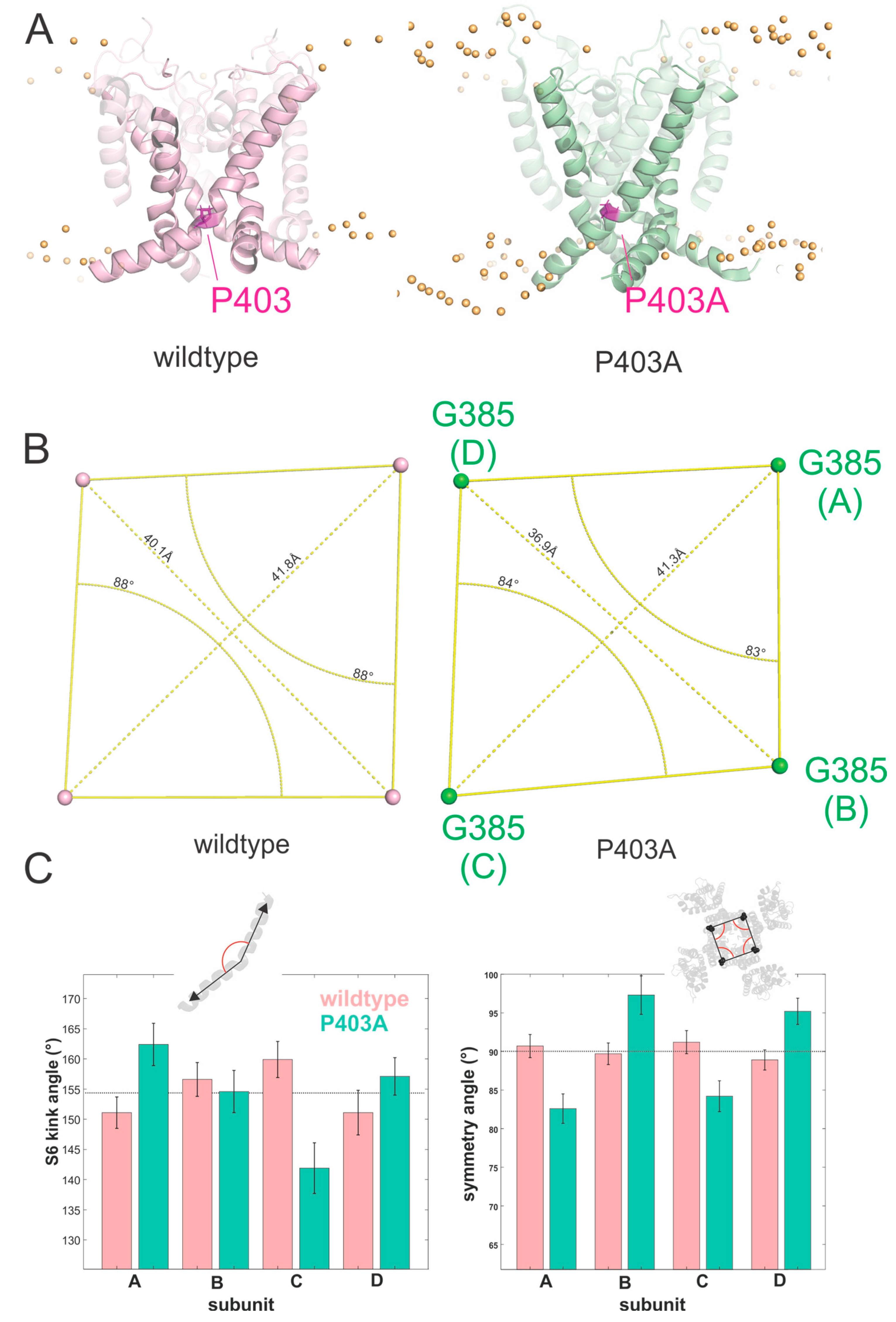 Ijms 23 08079 g005 Ijms 23 08079 g005