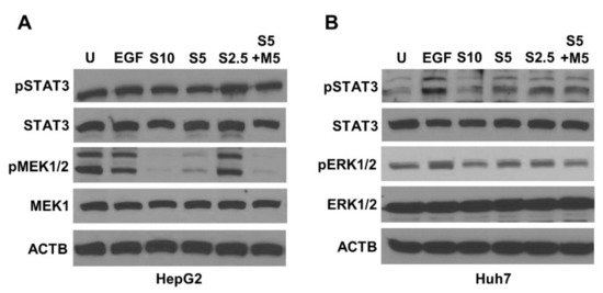 Metformin Enhances the Anti-Cancer Efficacy of Sorafenib via