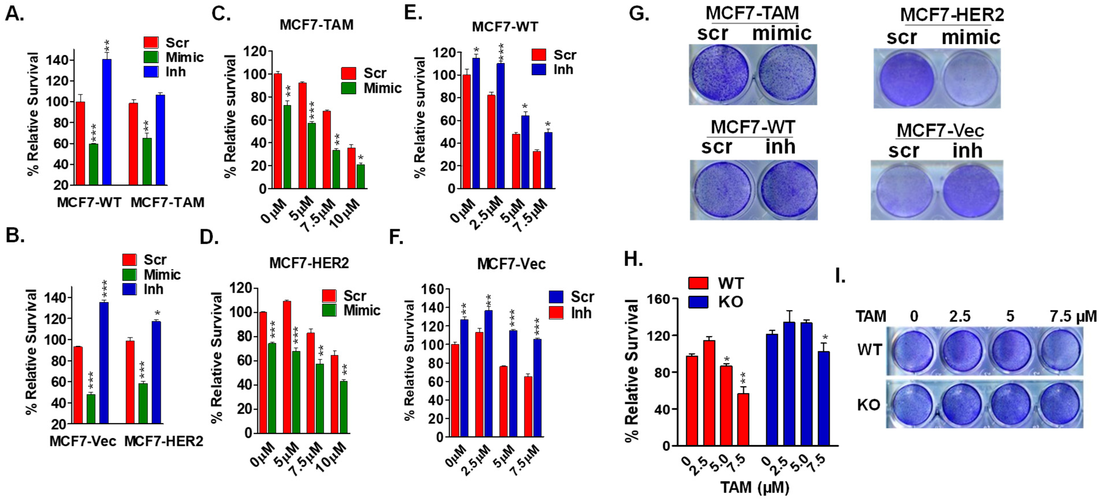 Ijms 23 08086 g002 Ijms 23 08086 g002