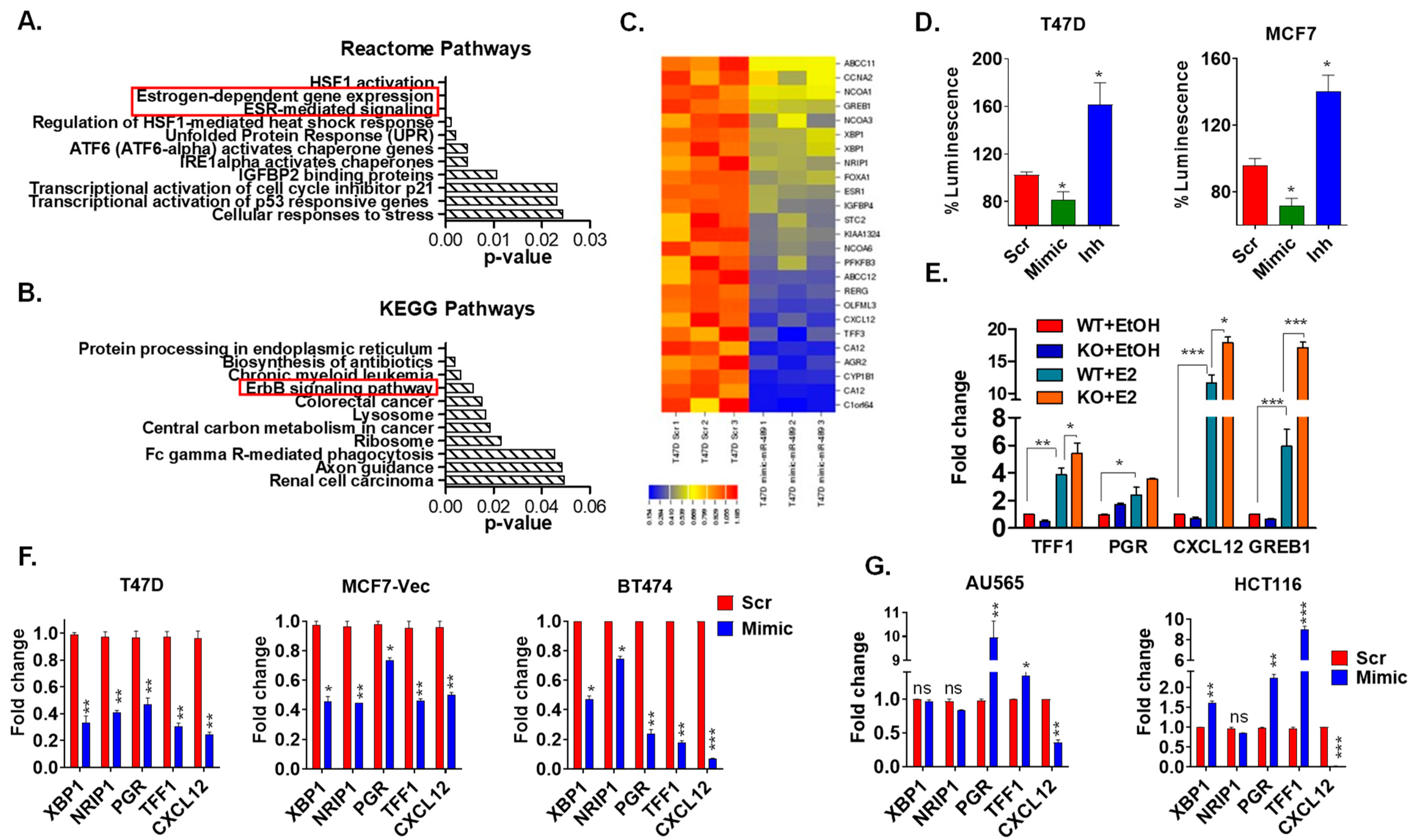 Ijms 23 08086 g003 Ijms 23 08086 g003