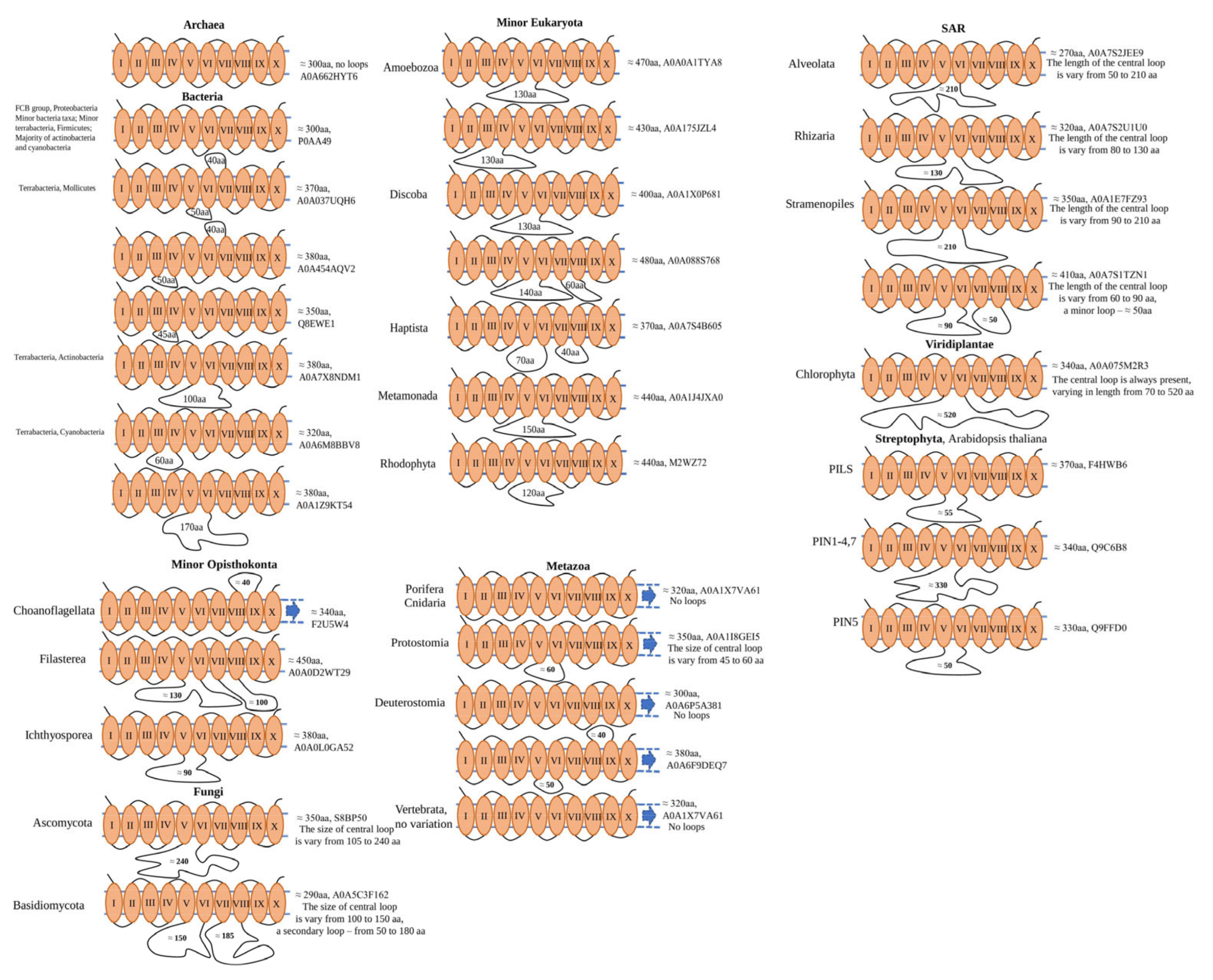 Ijms 23 08094 g001 550