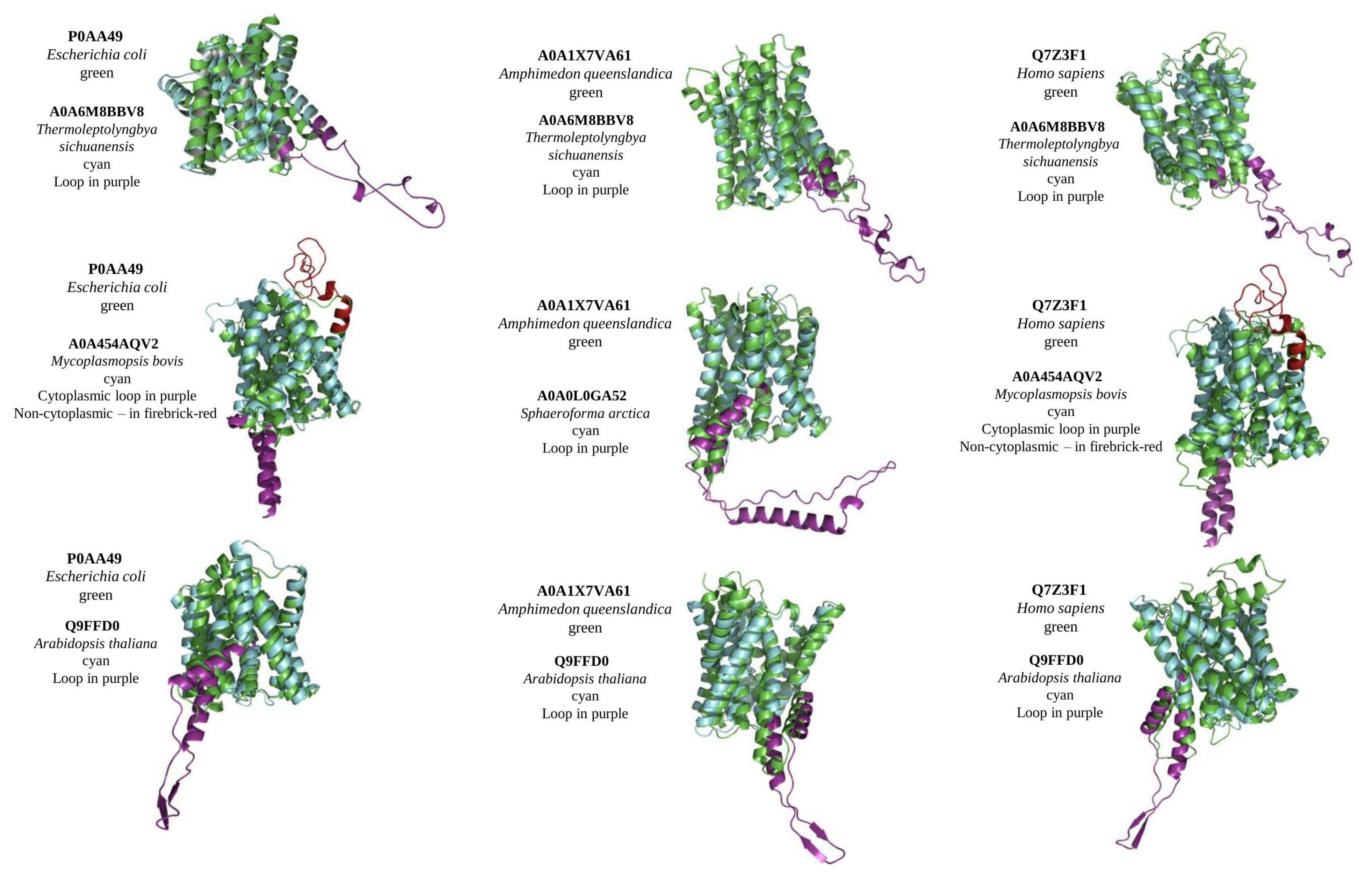 Ijms 23 08094 g002 550