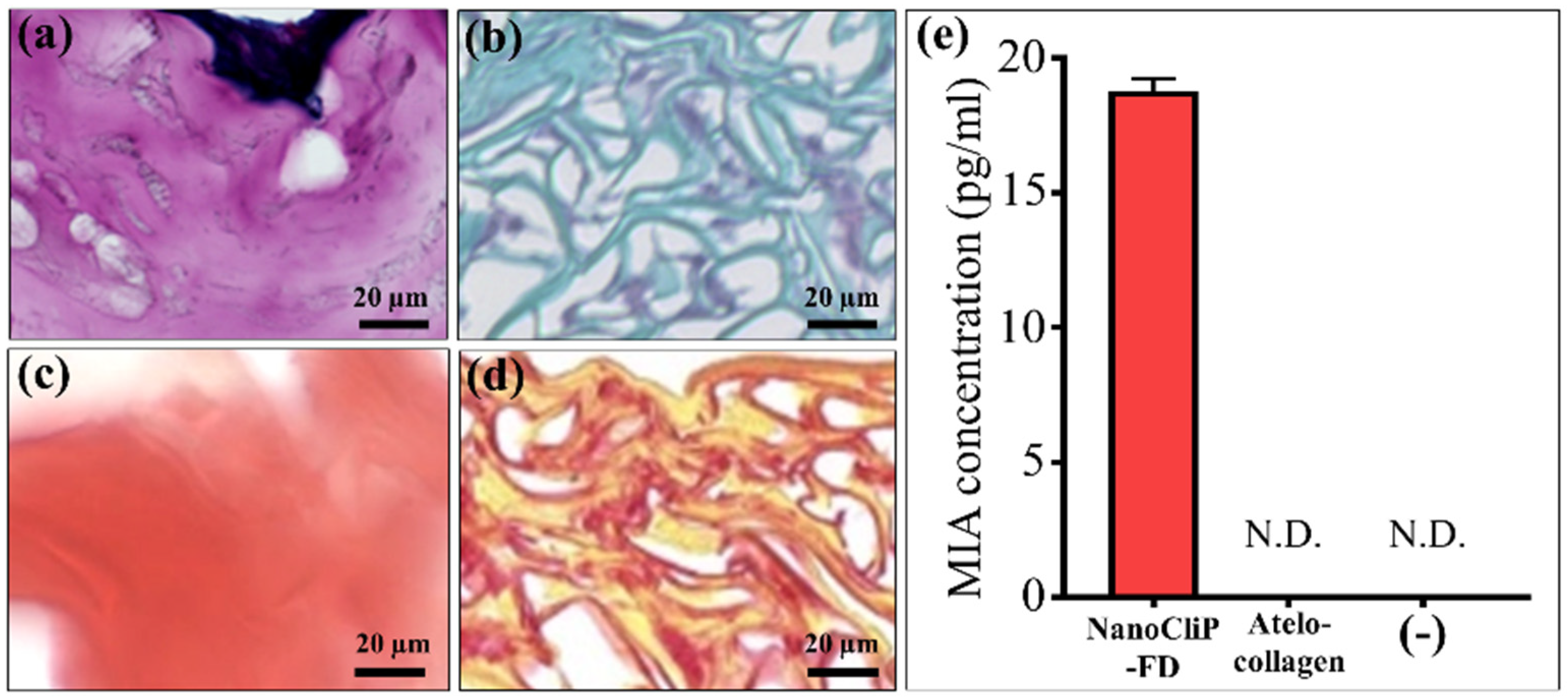 Ijms 23 08099 g002 550