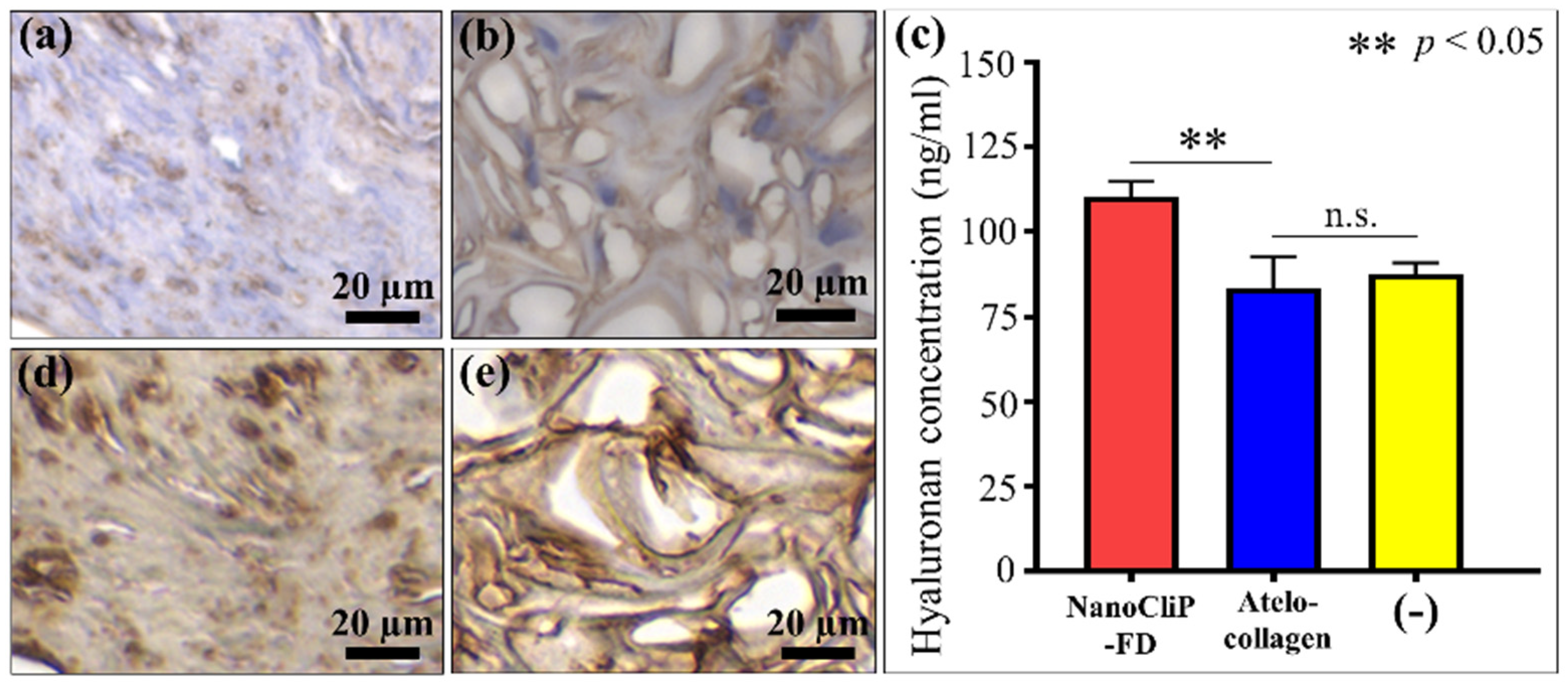 Ijms 23 08099 g003 550