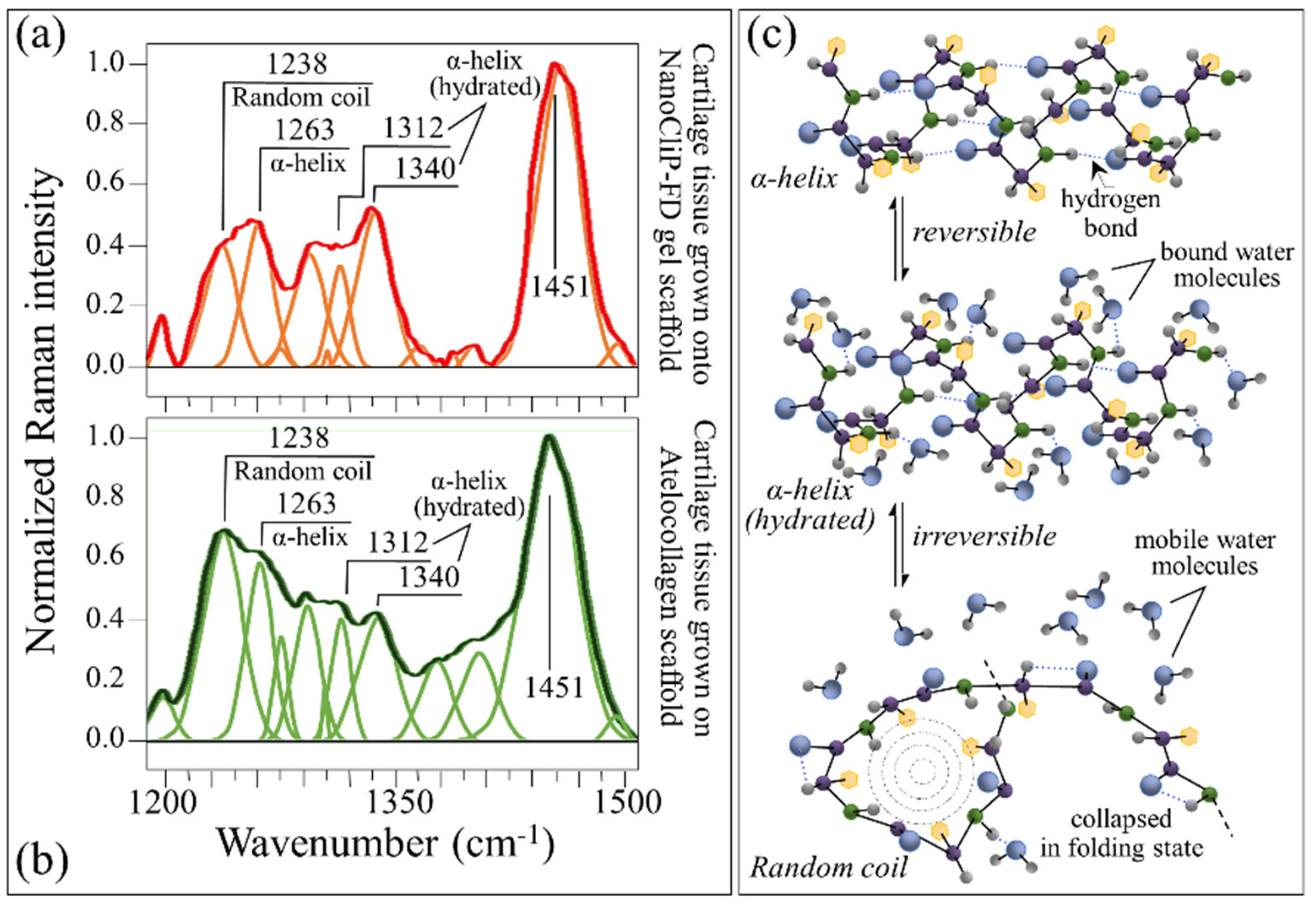 Ijms 23 08099 g006 550