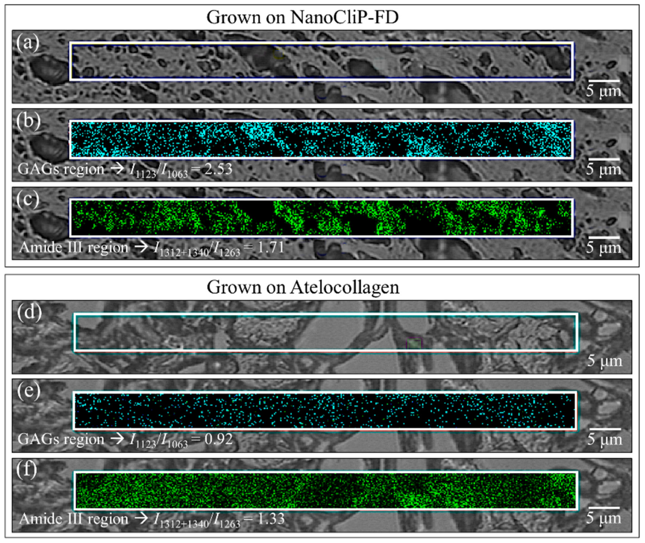 Ijms 23 08099 g007 550