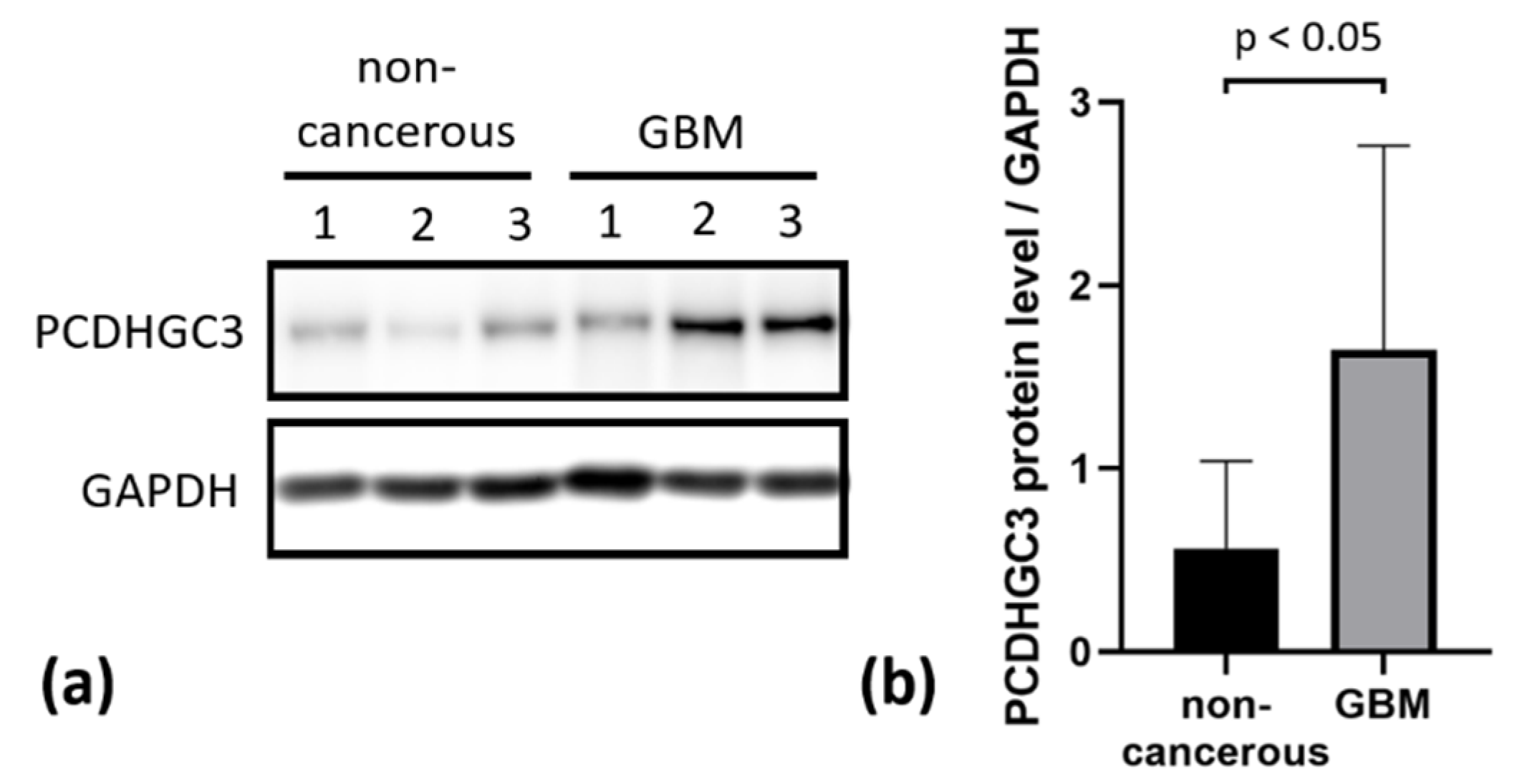 Ijms 23 08101 g004 550