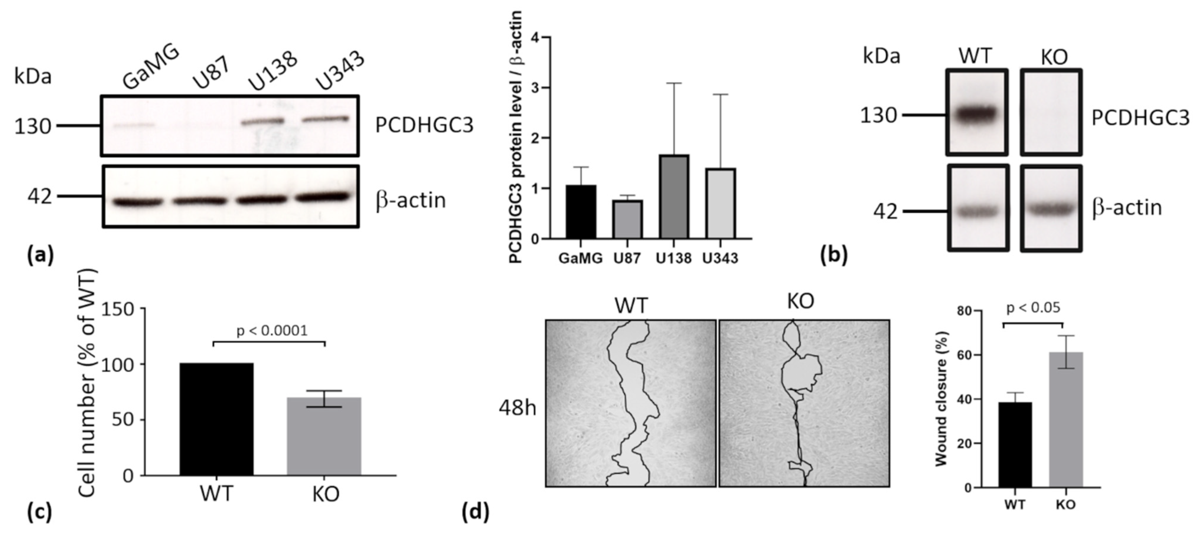 Ijms 23 08101 g005 550