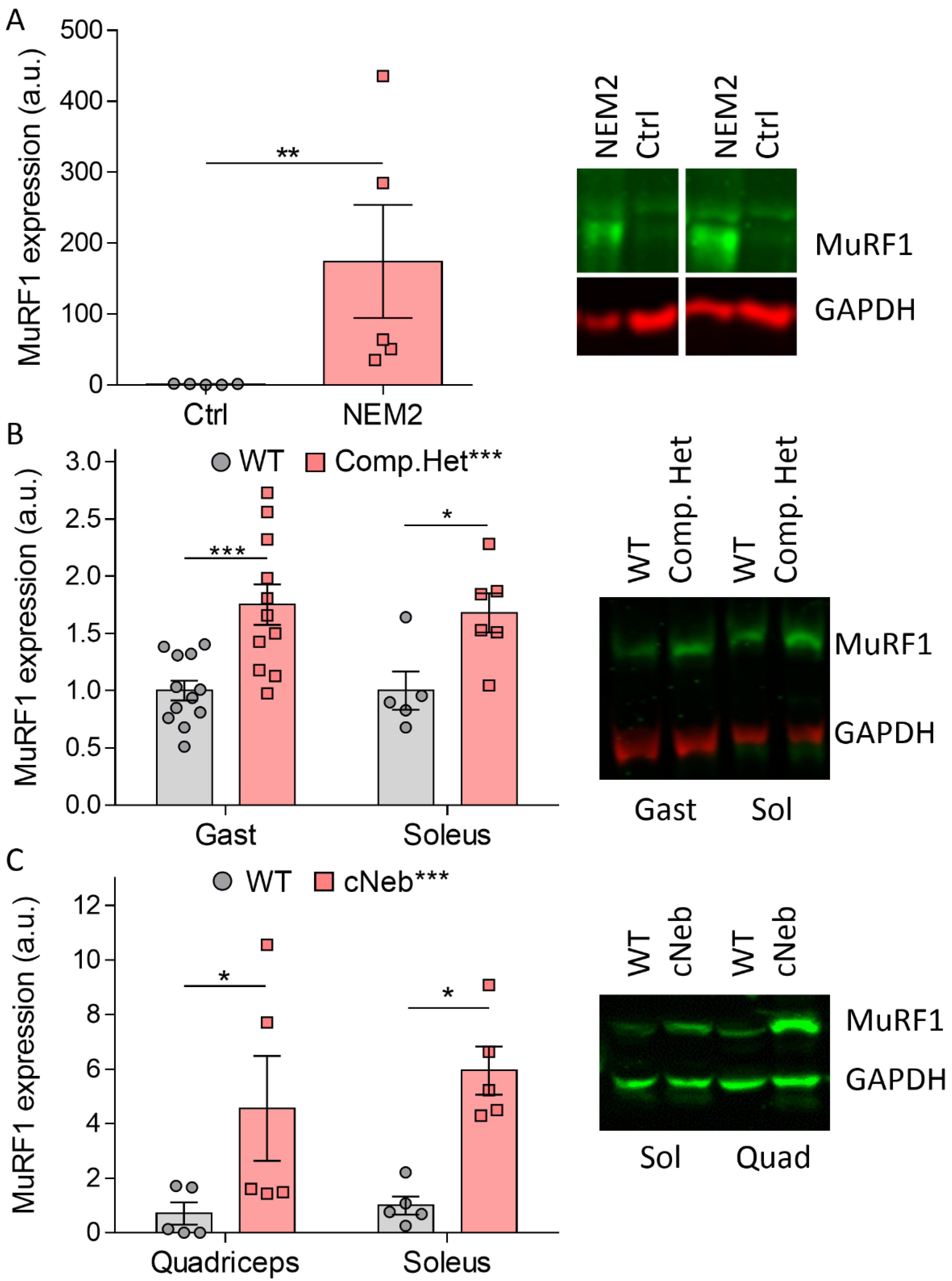 Ijms 23 08113 g001 550