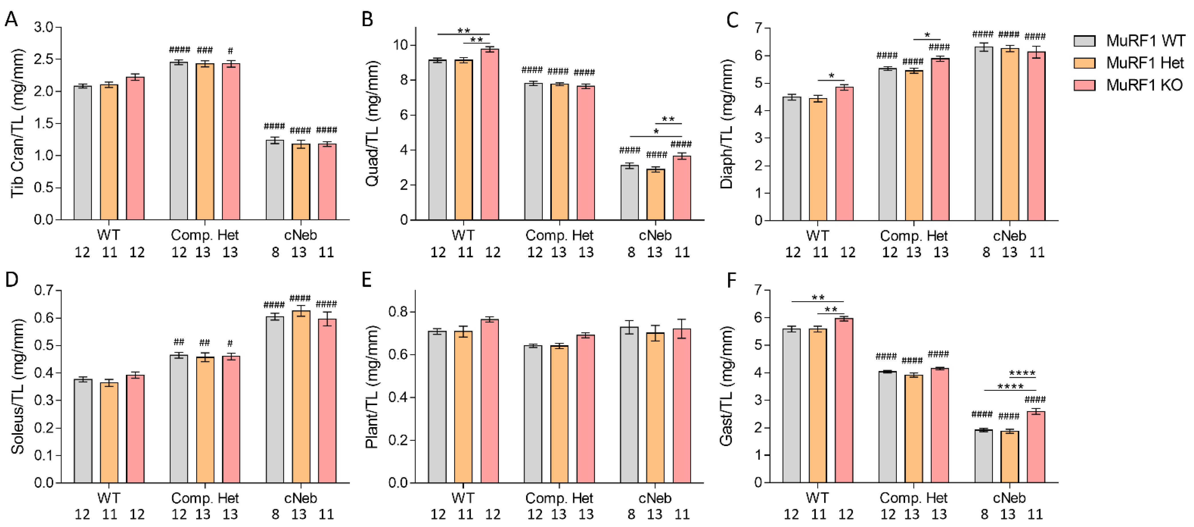 Ijms 23 08113 g004 550