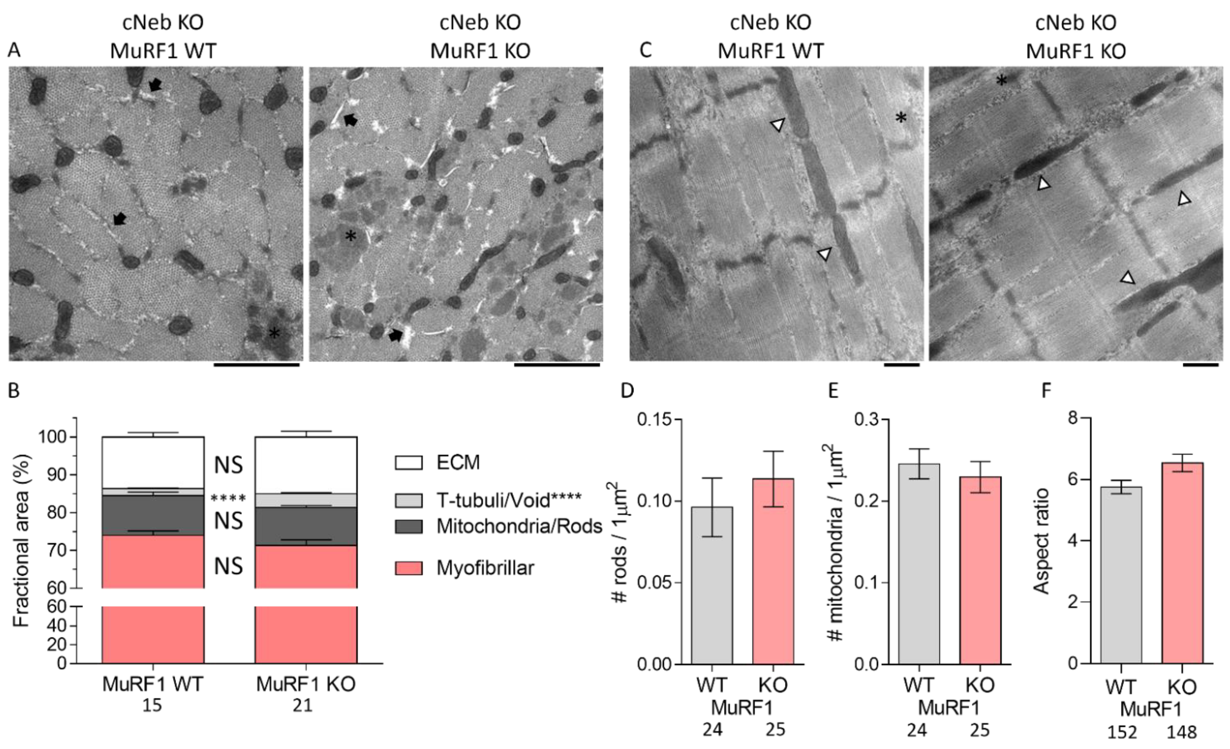 Ijms 23 08113 g007 550