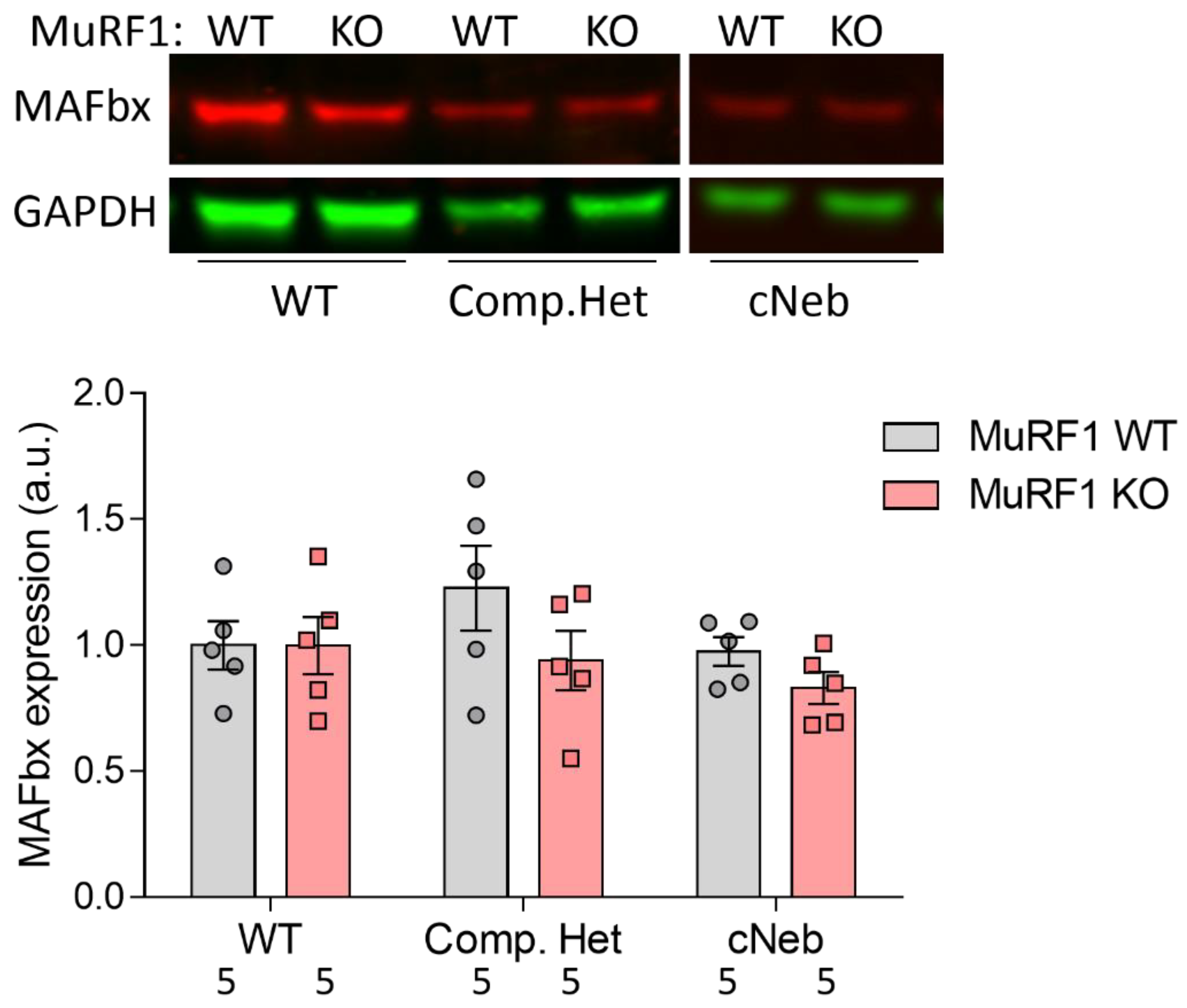 Ijms 23 08113 g008 550