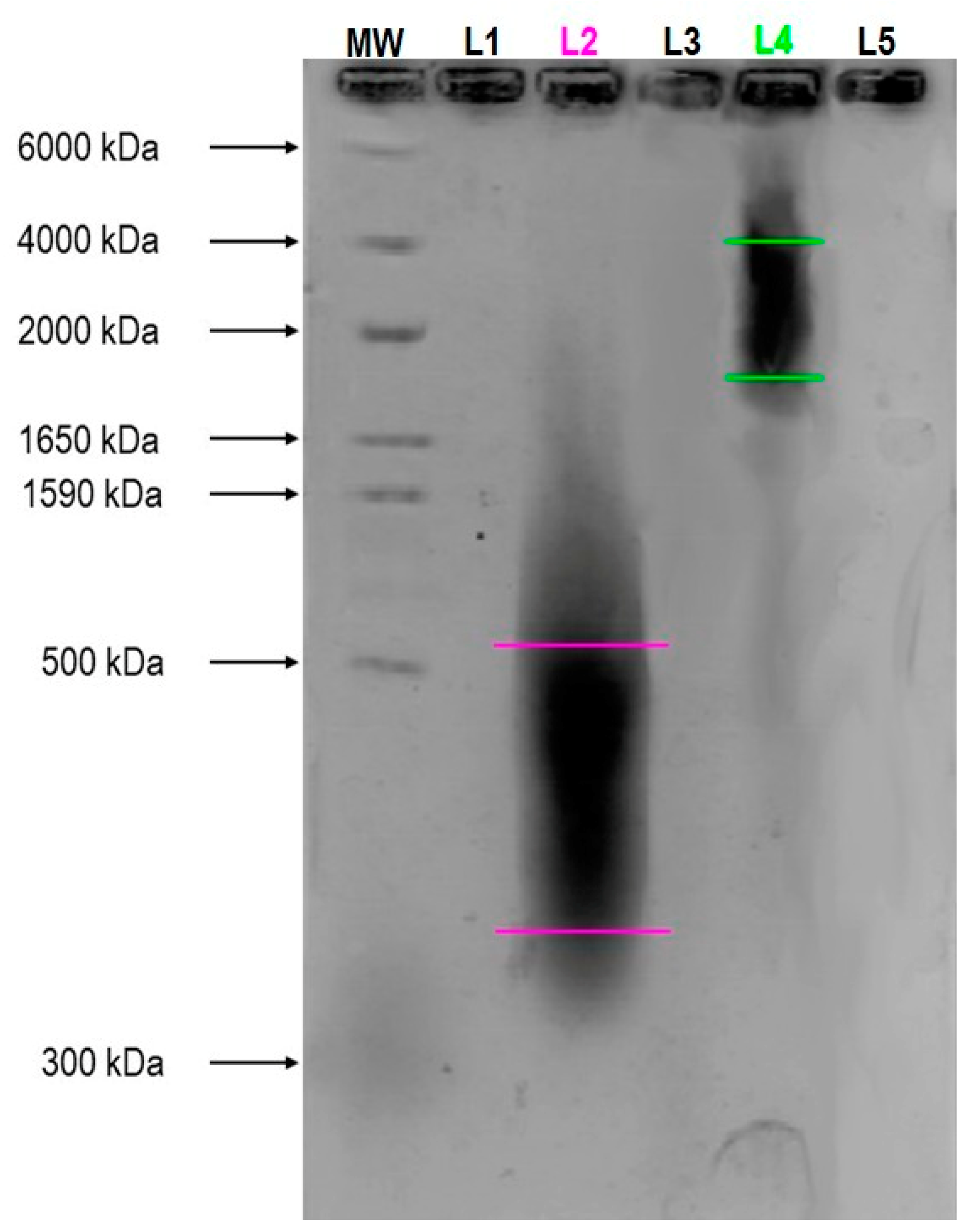 Ijms 23 08114 g002 Ijms 23 08114 g002