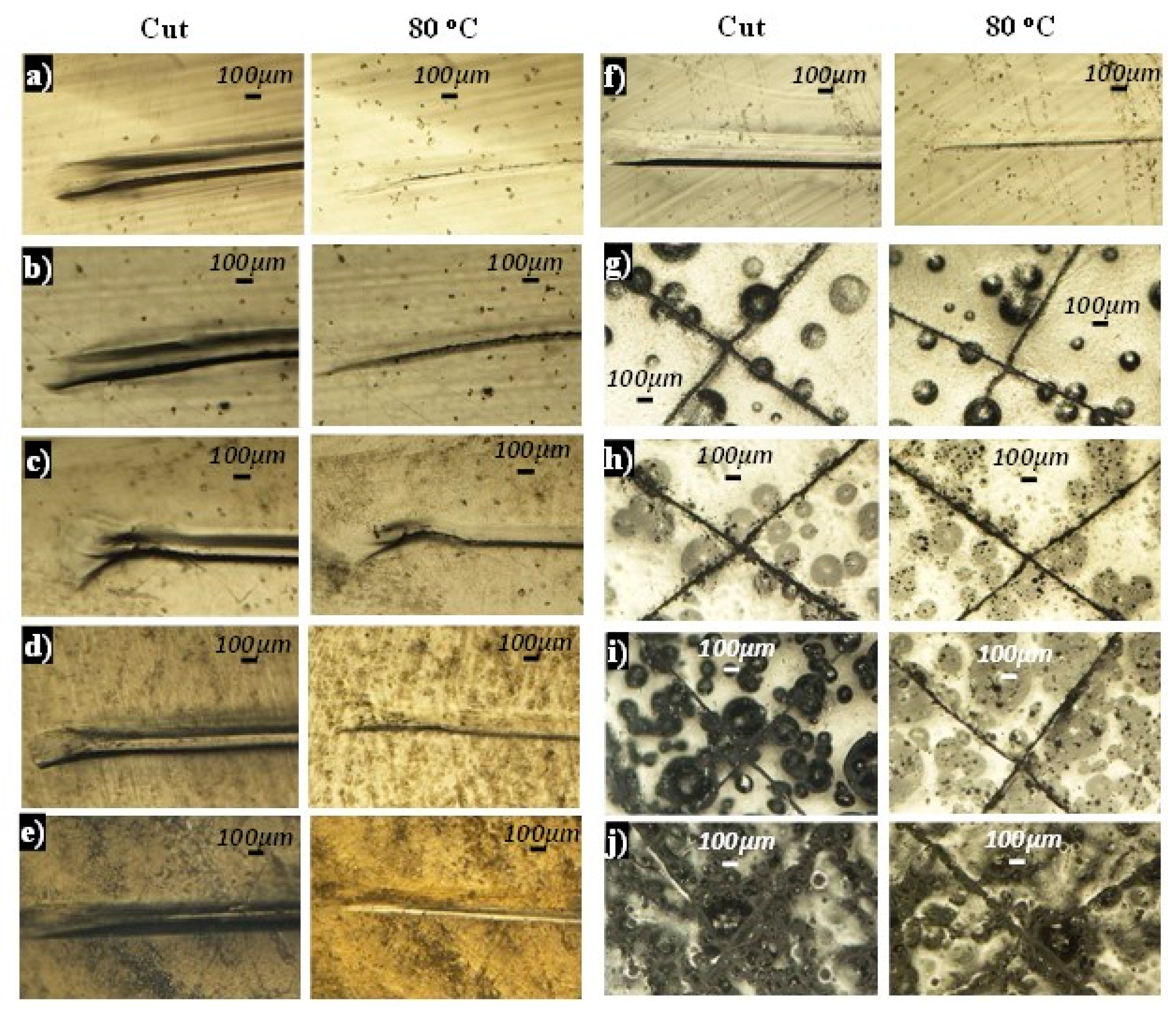 Ijms 23 08118 g009 550