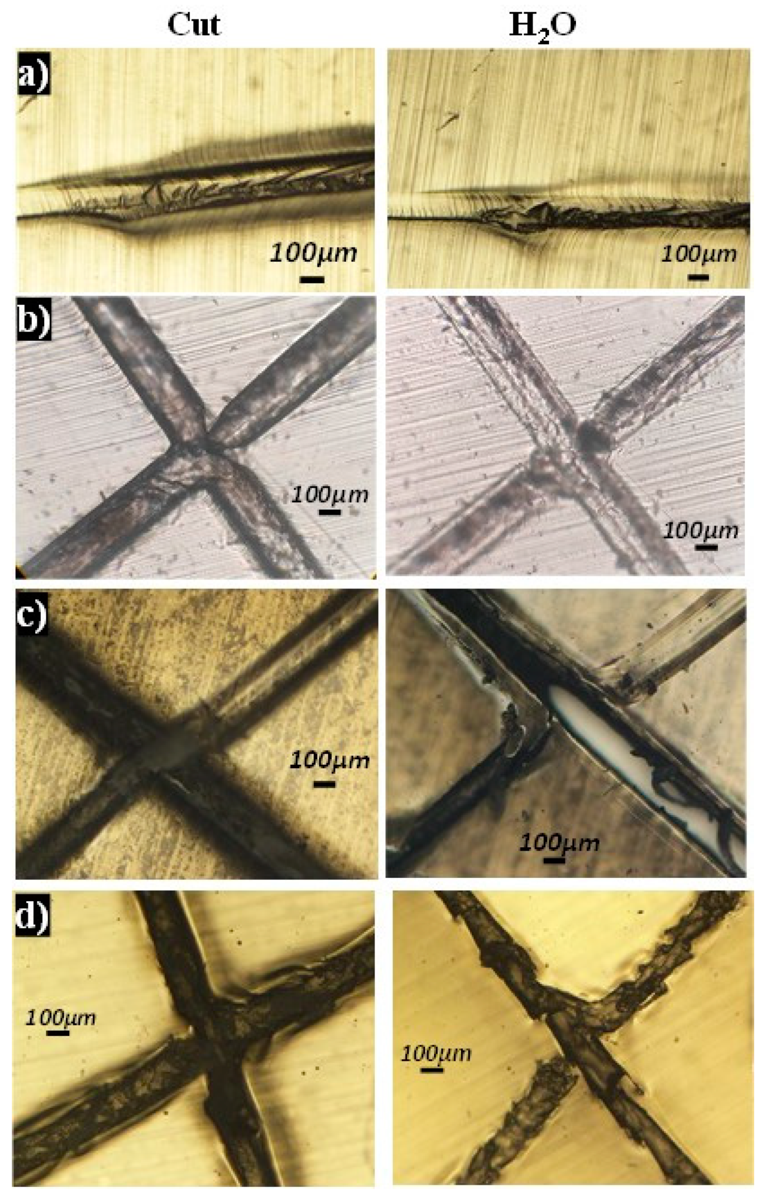 Ijms 23 08118 g012 550