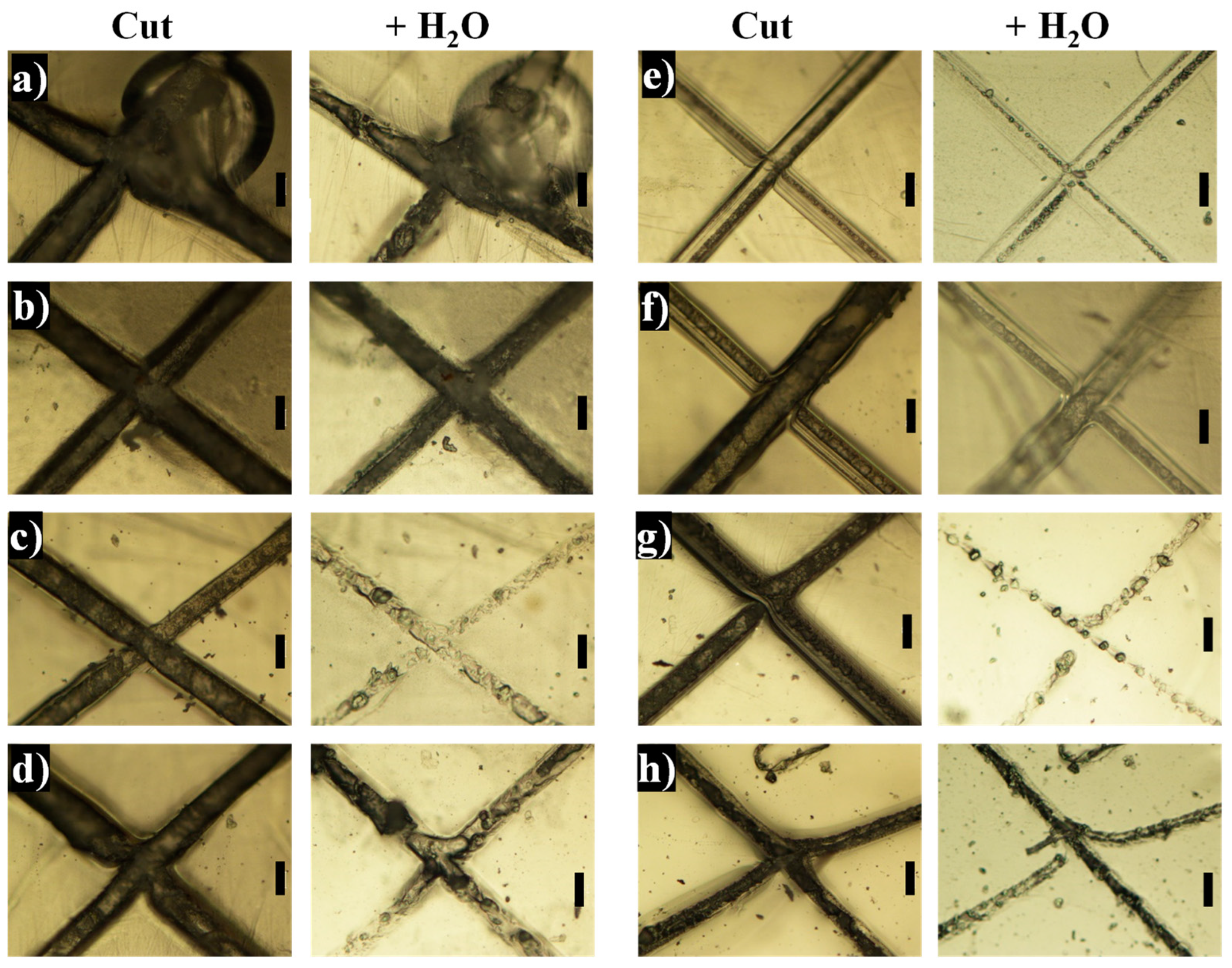 Ijms 23 08118 g013 550