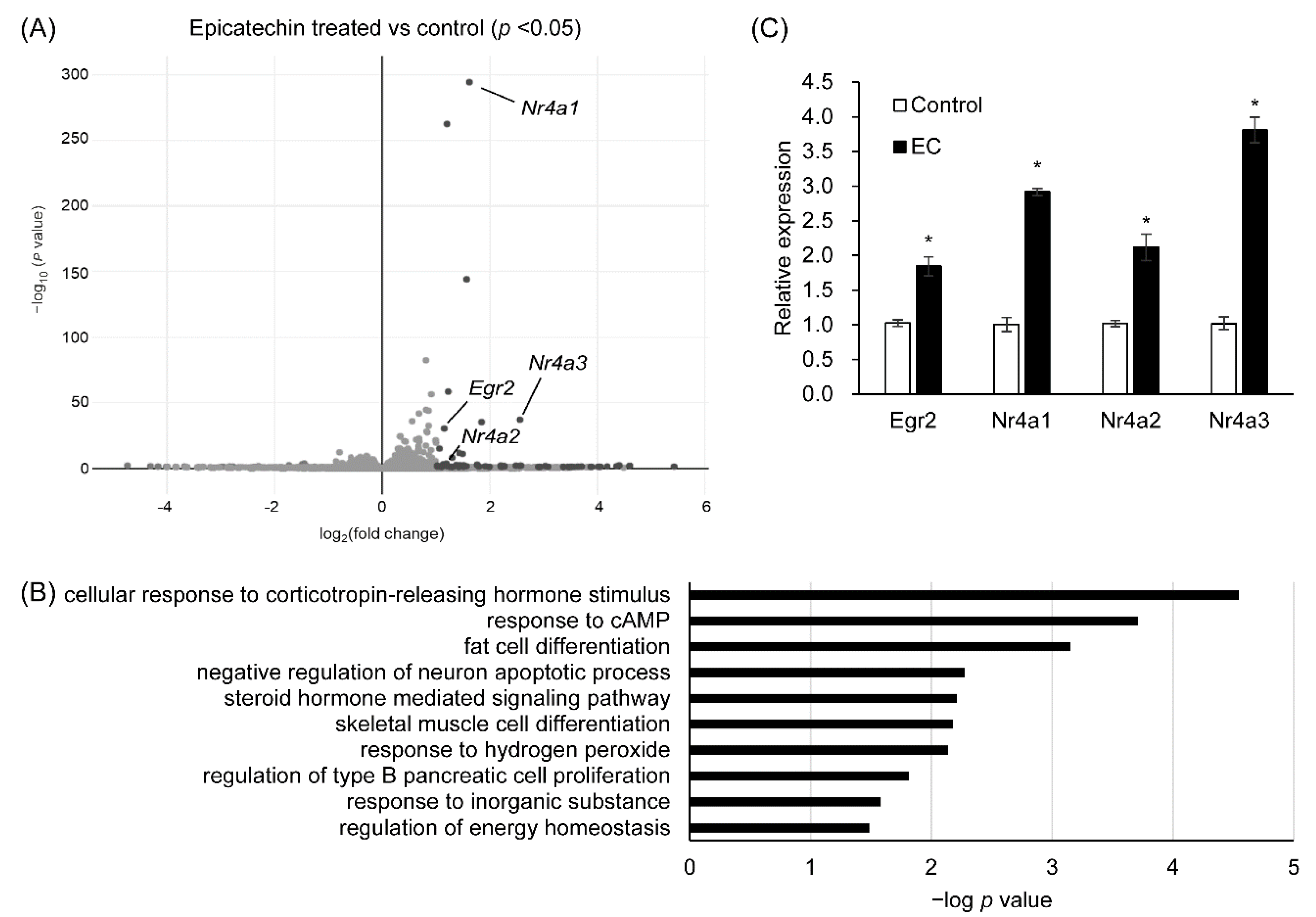 Ijms 23 08120 g006 Ijms 23 08120 g006