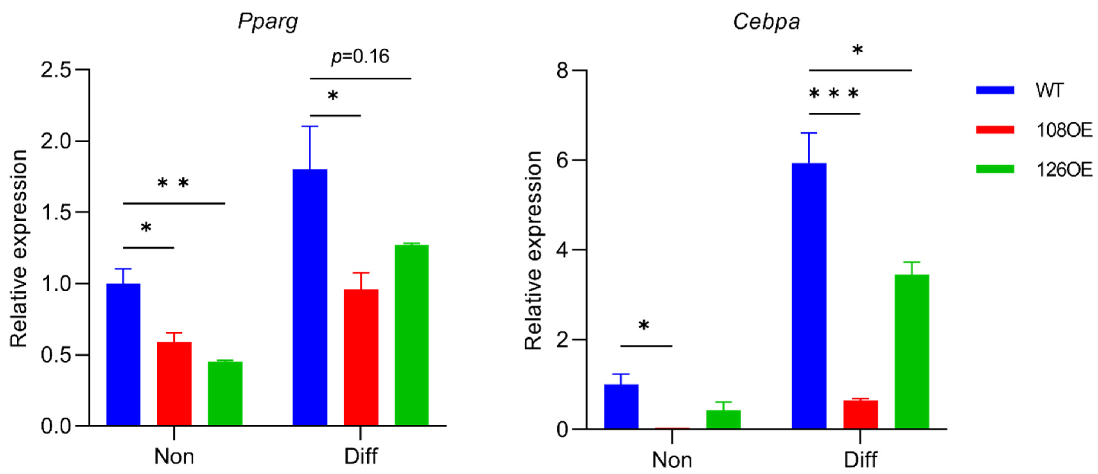 Ijms 23 08120 g008 Ijms 23 08120 g008