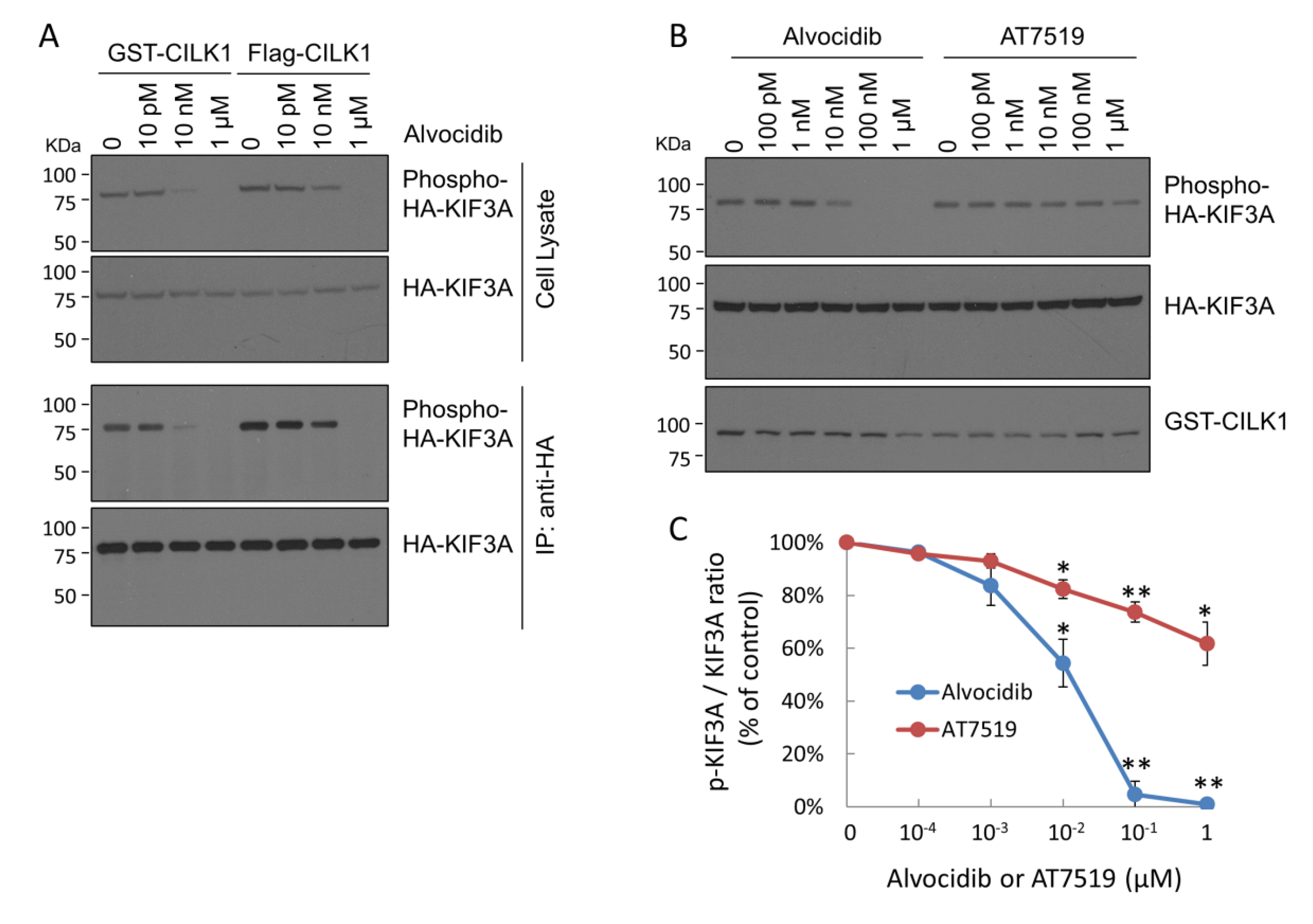 Ijms 23 08121 g001a 550