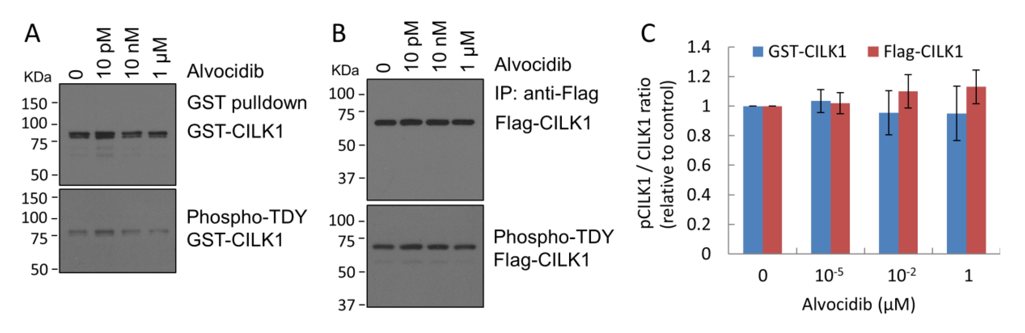 Ijms 23 08121 g002 550