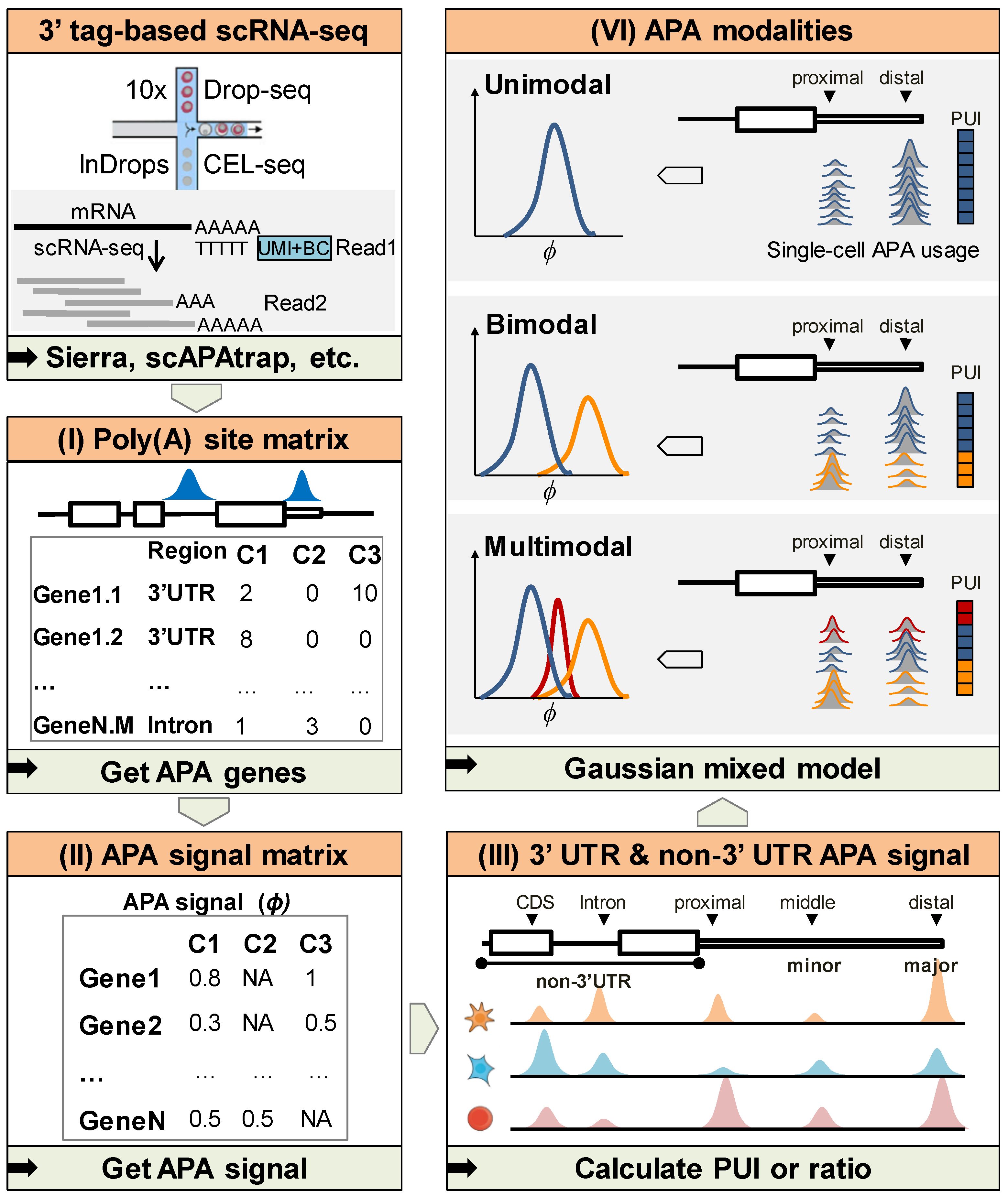 Ijms 23 08123 g001 Ijms 23 08123 g001