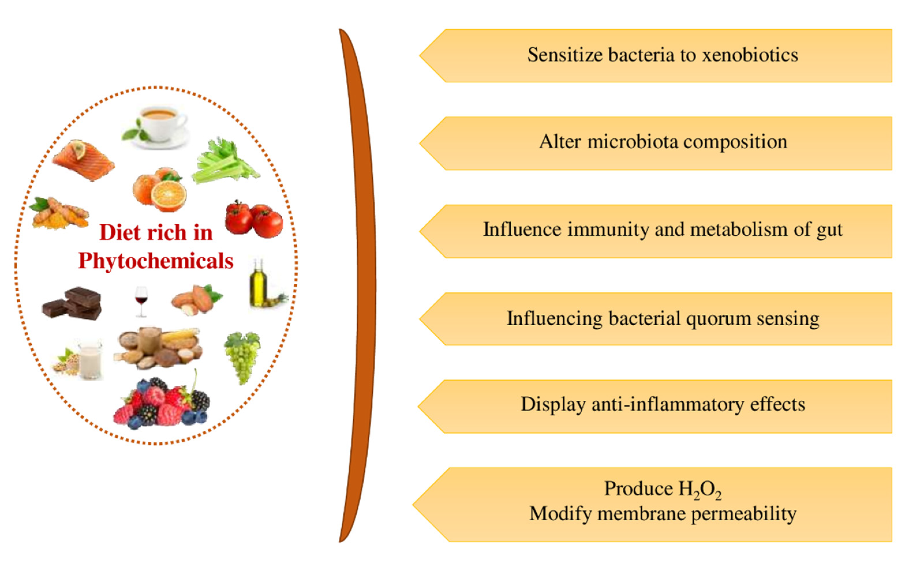 Ijms 23 08124 g016 550
