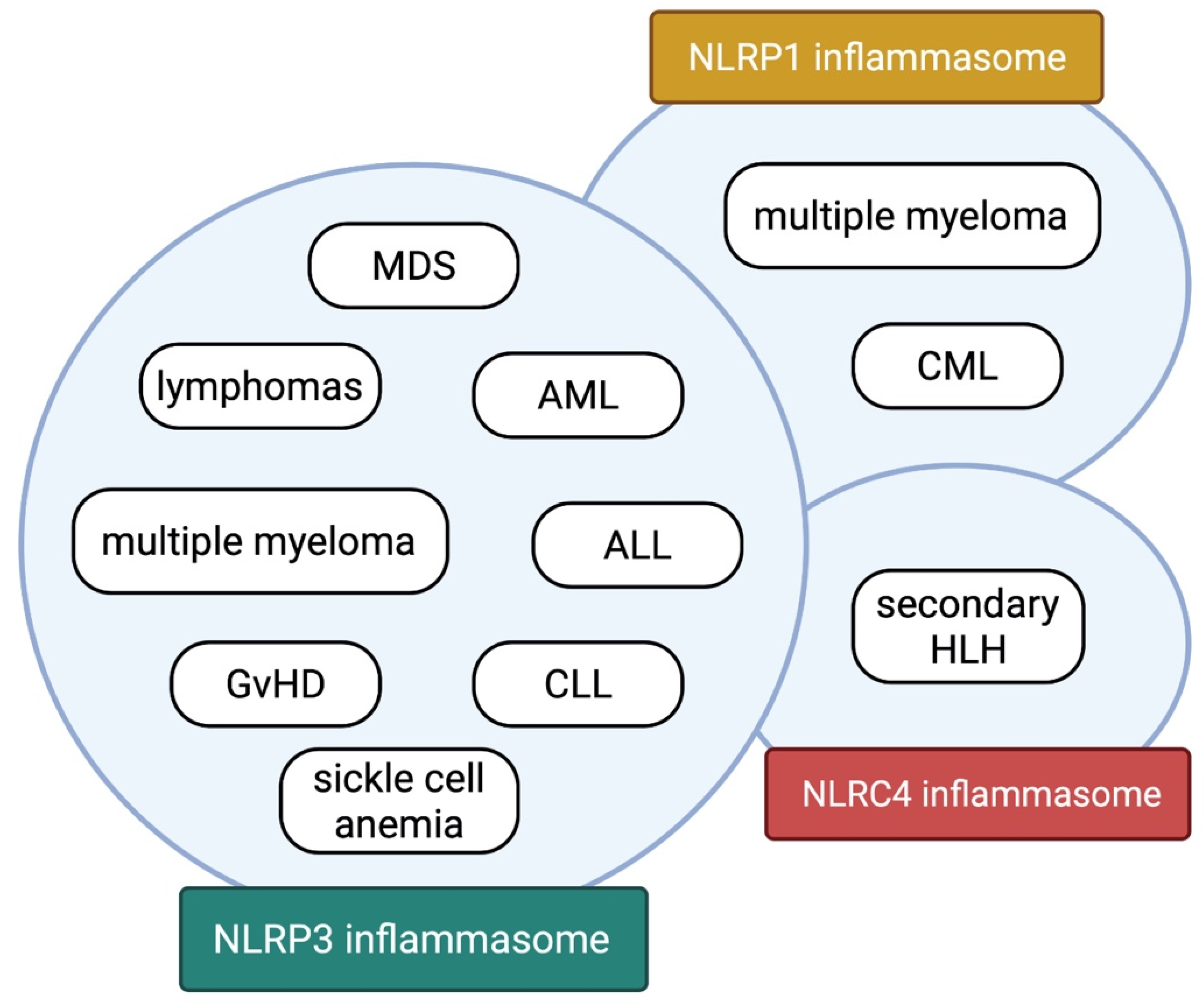Ijms 23 08129 g004 550