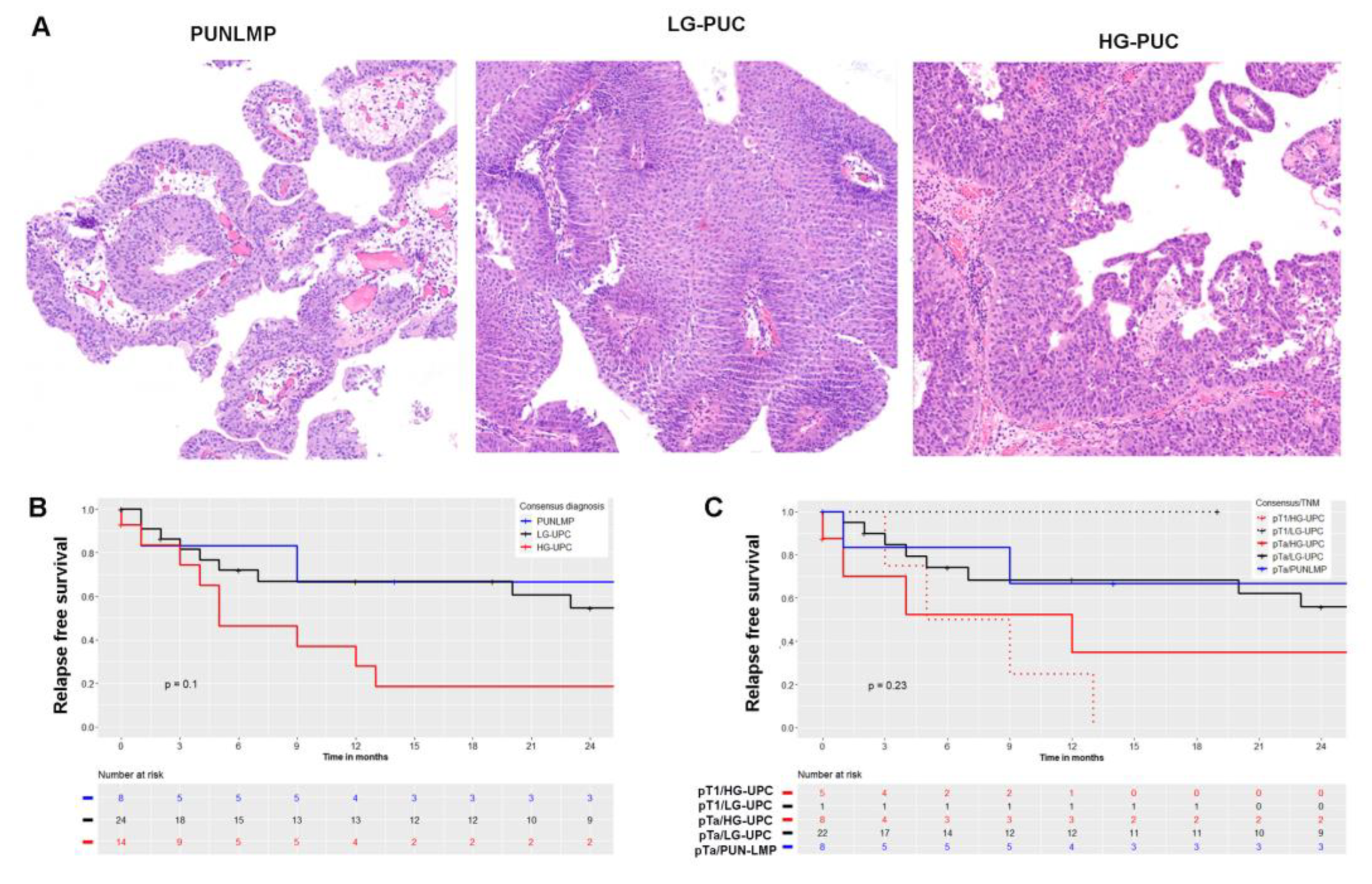 Ijms 23 08133 g001 550